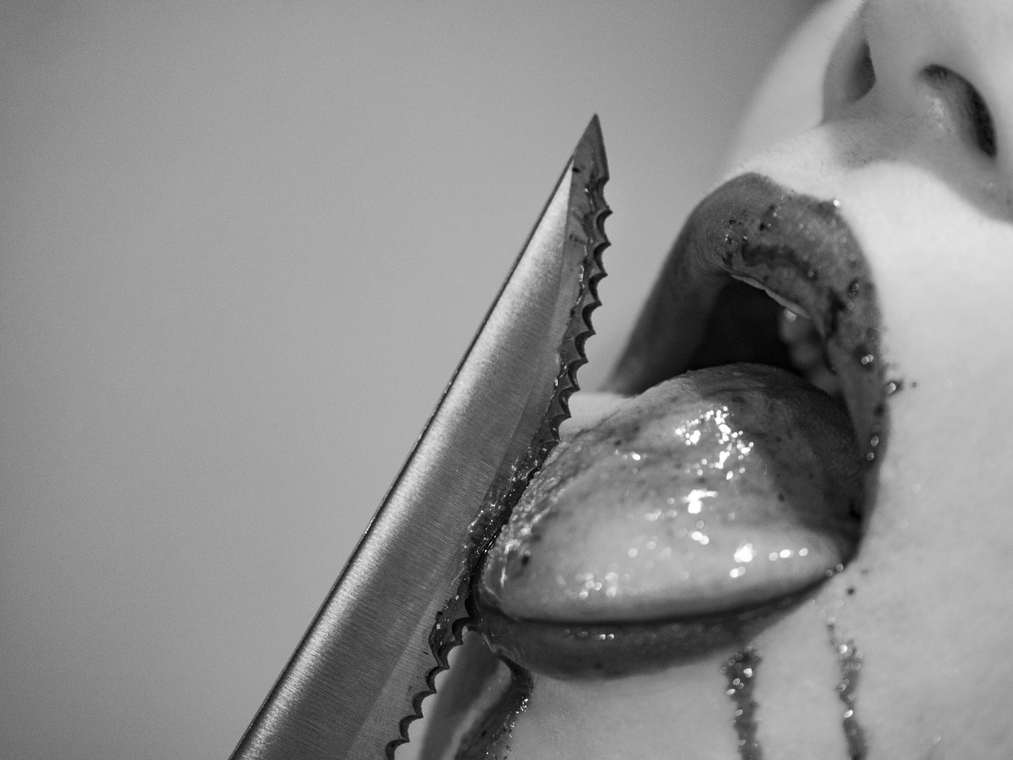Panasonic Leica DG Macro-Elmarit 45mm F2.8 ASPH OIS sample photo. Lick b&w photography