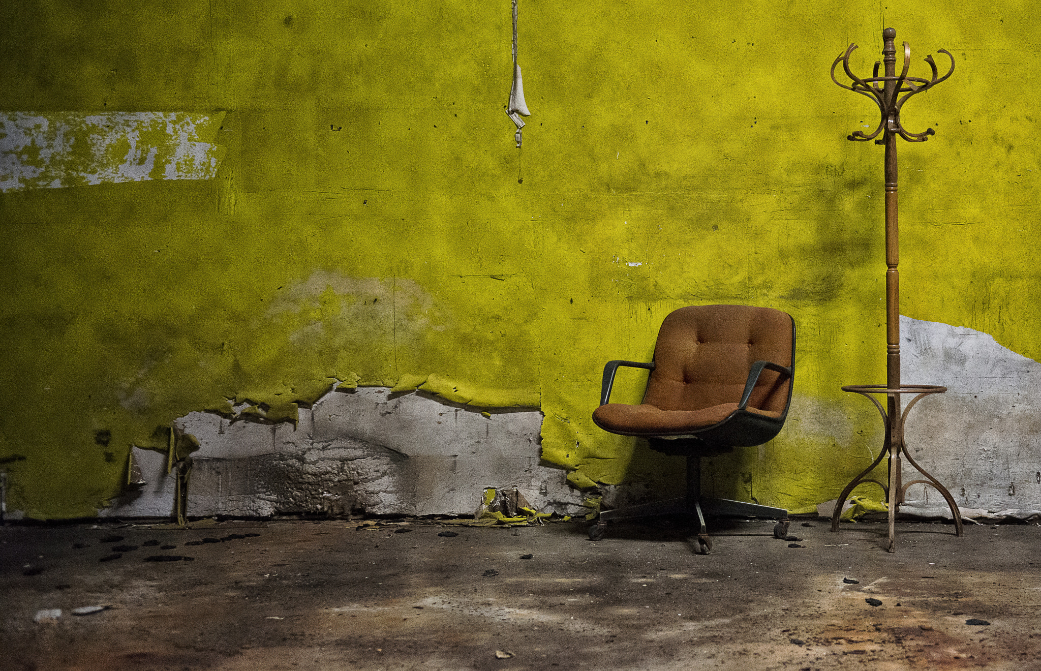 Nikon D800 sample photo. 86 photography
