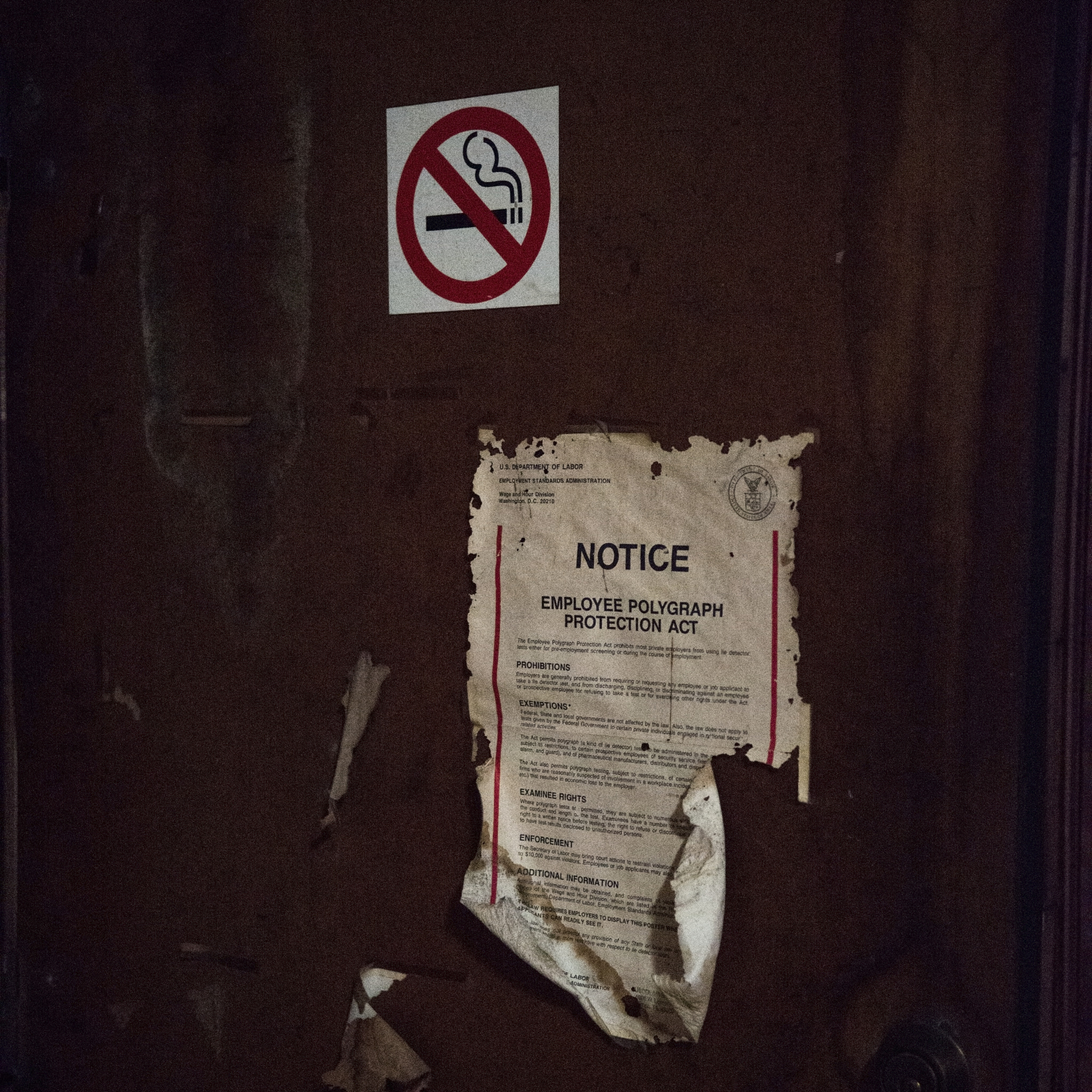 Nikon D800 sample photo. 77 photography