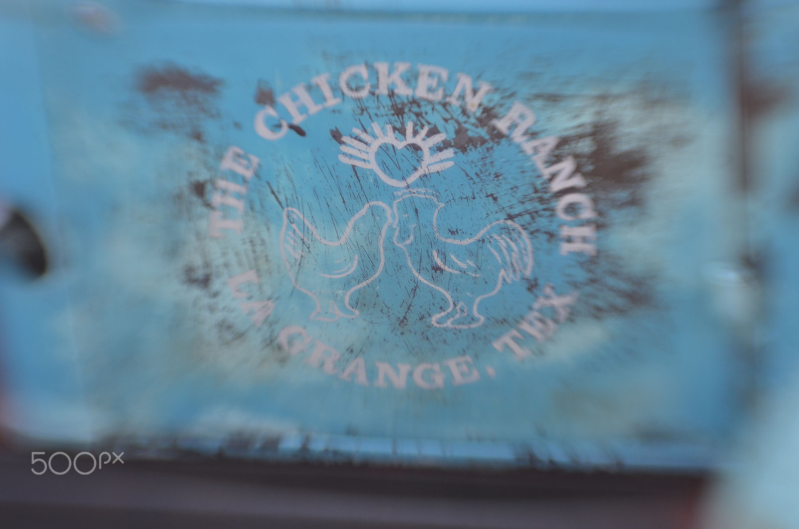 Nikon D7000 sample photo. Chicken door photography