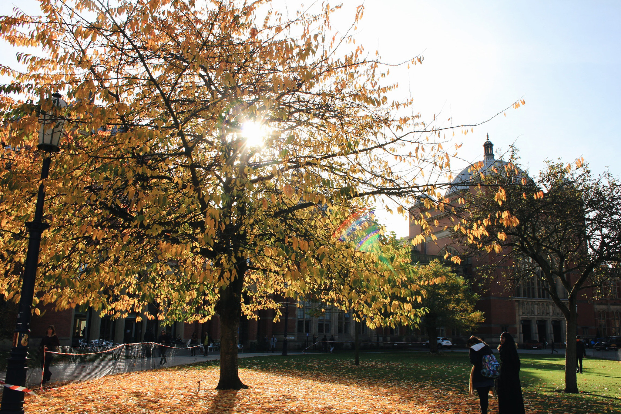 Canon EOS 550D (EOS Rebel T2i / EOS Kiss X4) sample photo. Sunlight through trees photography