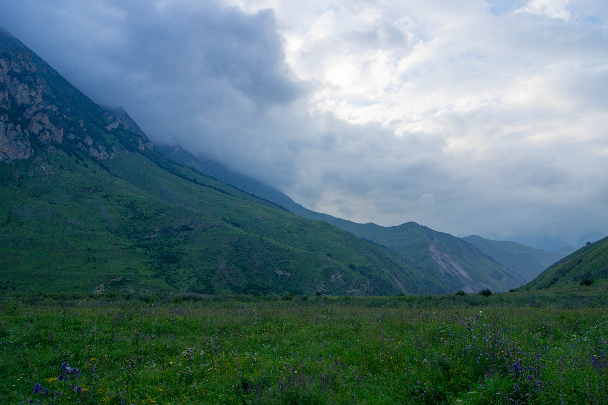 Sony Alpha DSLR-A500 + Sony DT 18-55mm F3.5-5.6 SAM sample photo. Склоны и цветы photography