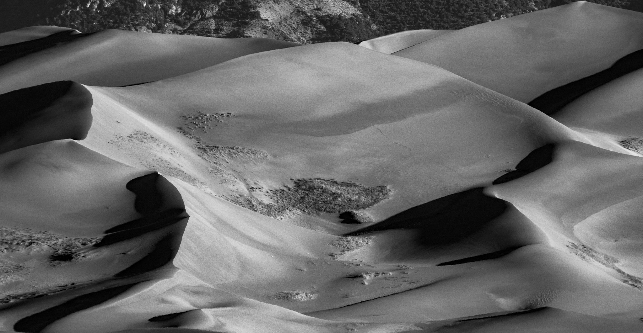 Panasonic Lumix DMC-GH3 sample photo. Dunes scuptures bw photography