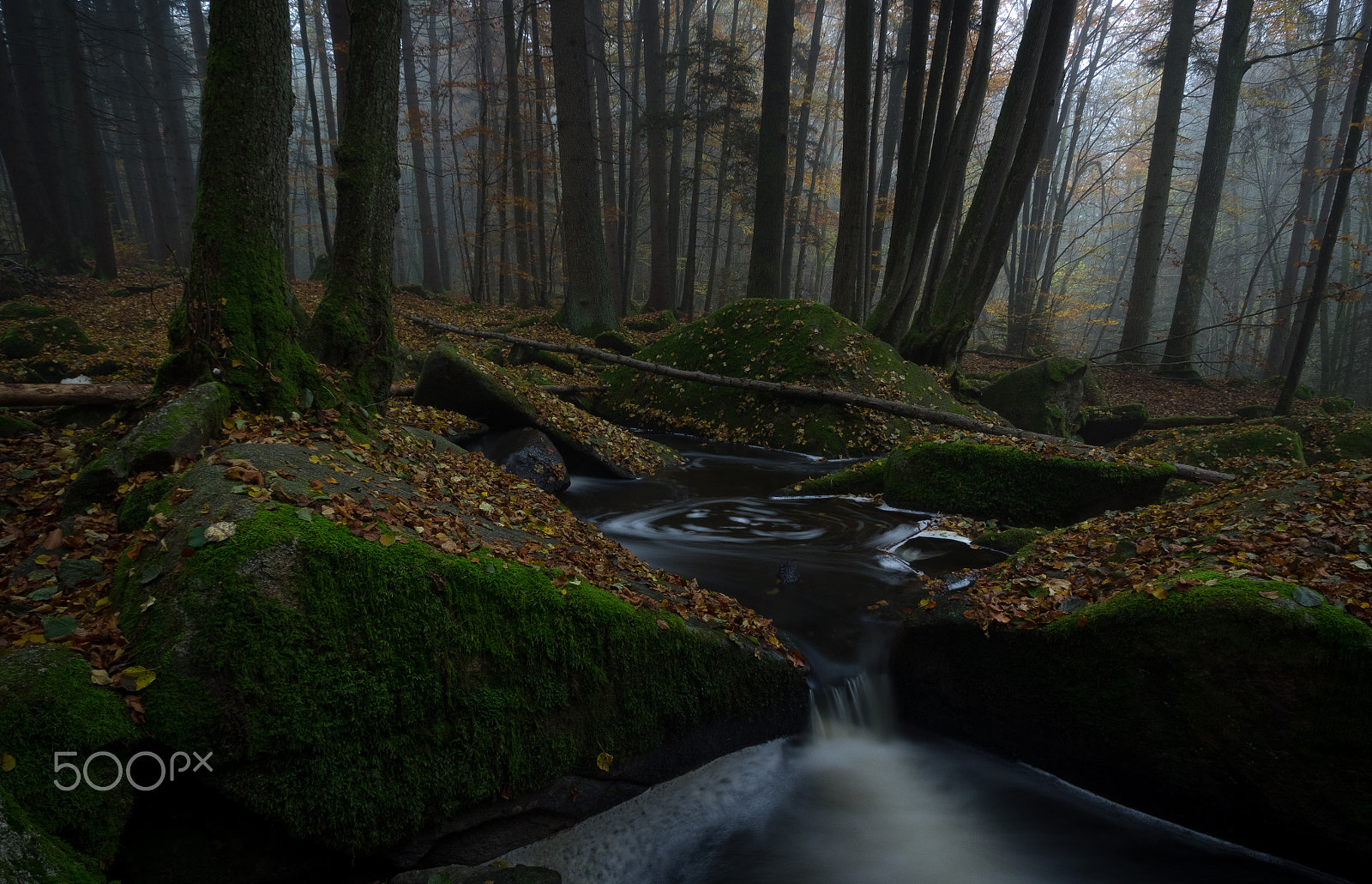 Olympus OM-D E-M1 sample photo. Autumn scenery photography