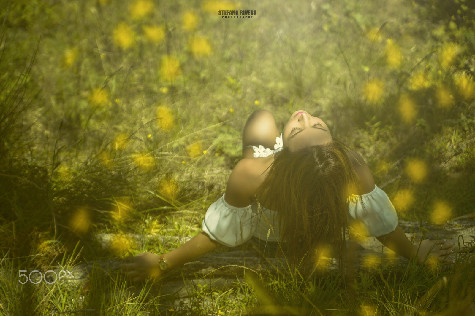 Nikon D800 sample photo. Pao photography