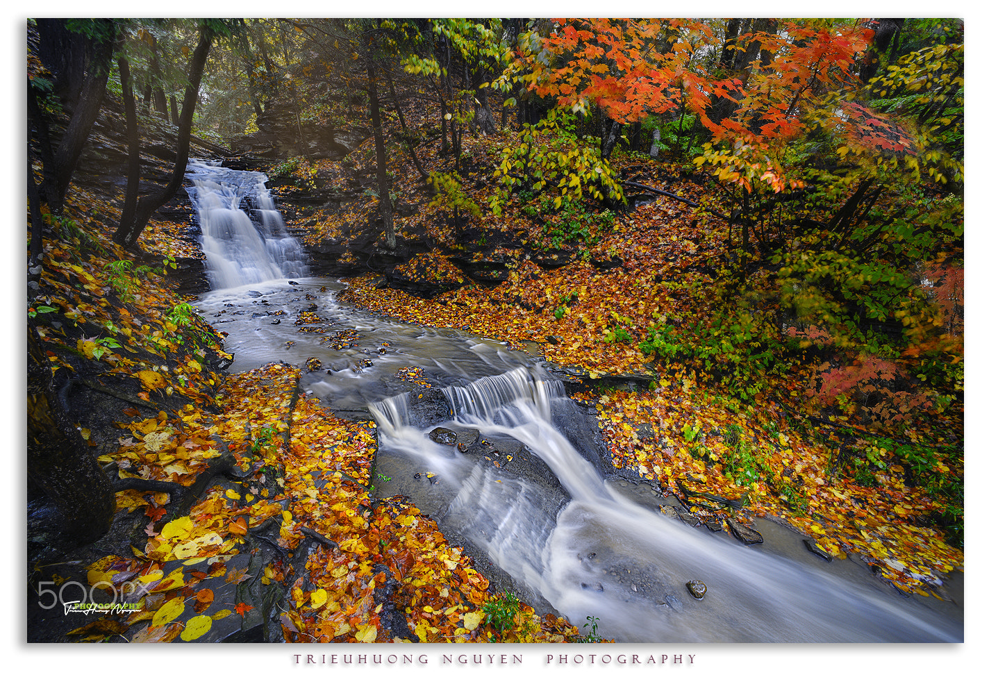 Nikon AF-S Nikkor 17-35mm F2.8D ED-IF sample photo. Autumn photography