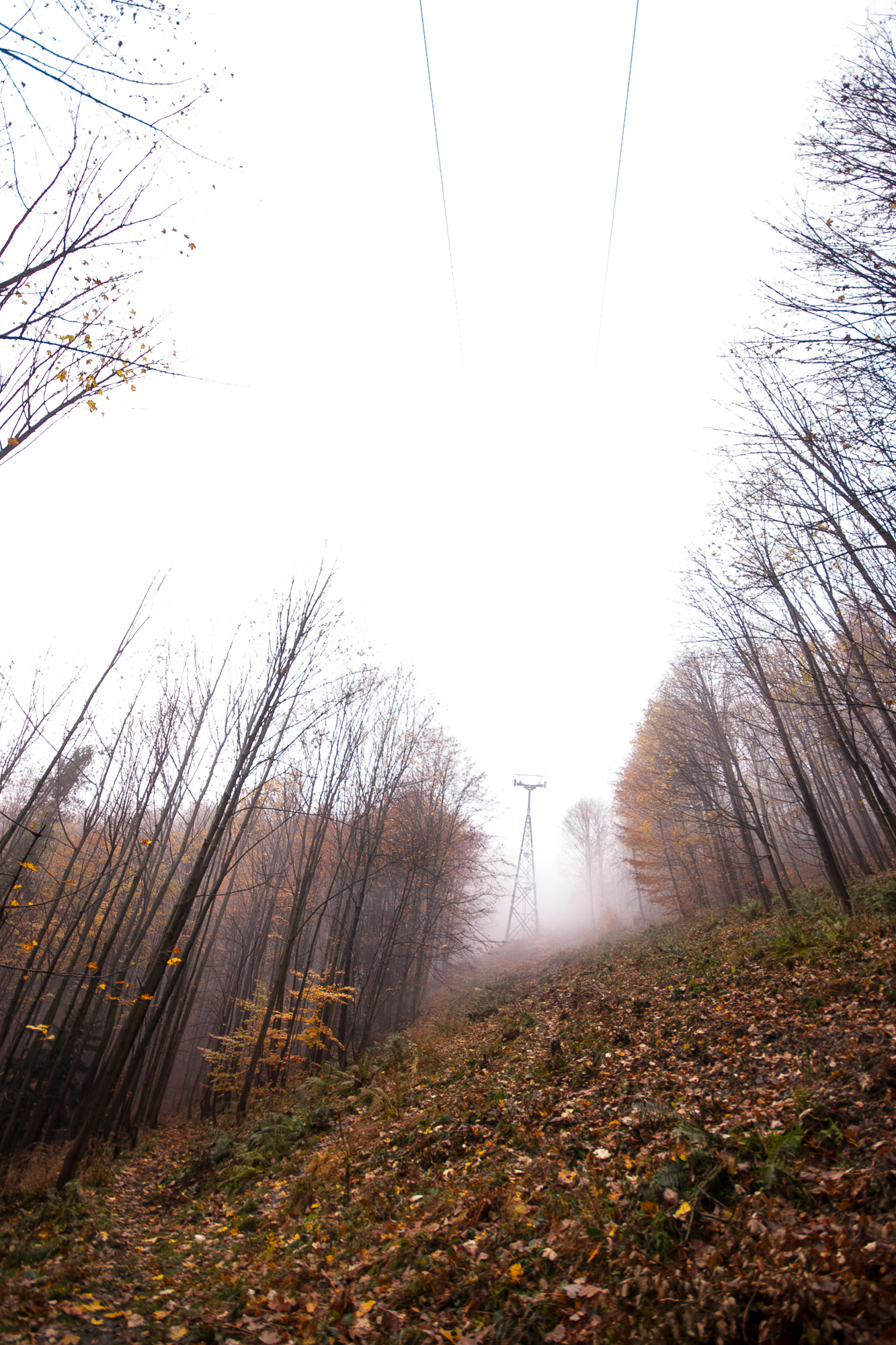 Sigma 10-20mm F4-5.6 EX DC HSM sample photo. Szyndzielnia listopad photography