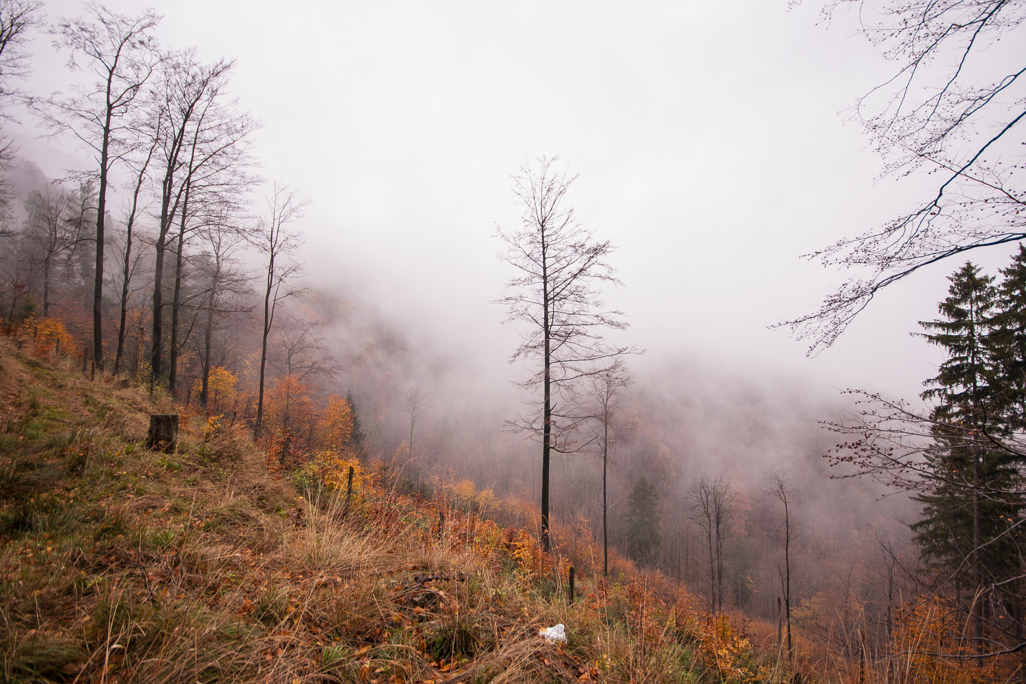Sigma 10-20mm F4-5.6 EX DC HSM sample photo. Szyndzielnia listopad photography