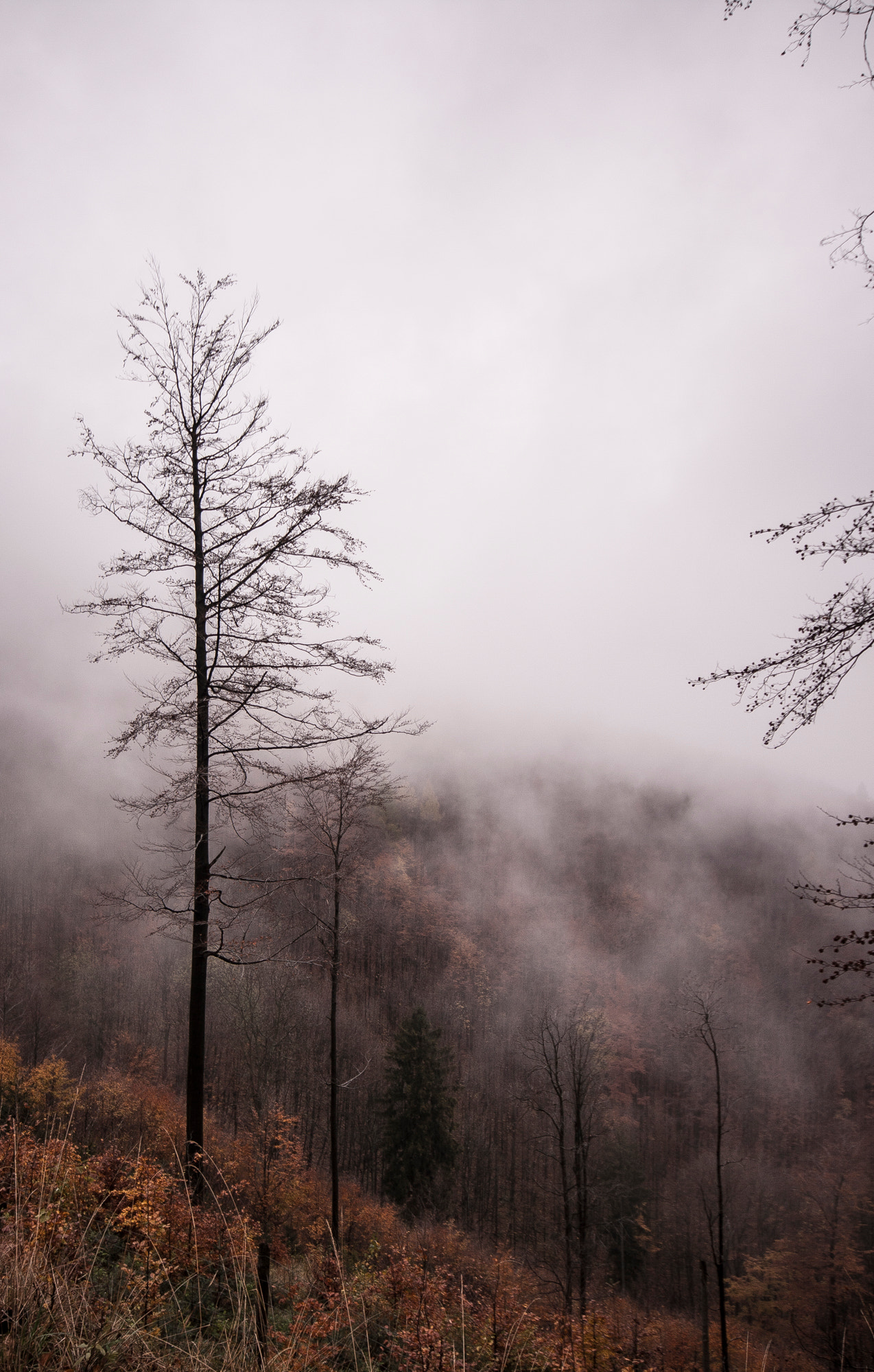 Sigma 10-20mm F4-5.6 EX DC HSM sample photo. Szyndzielnia listopad photography