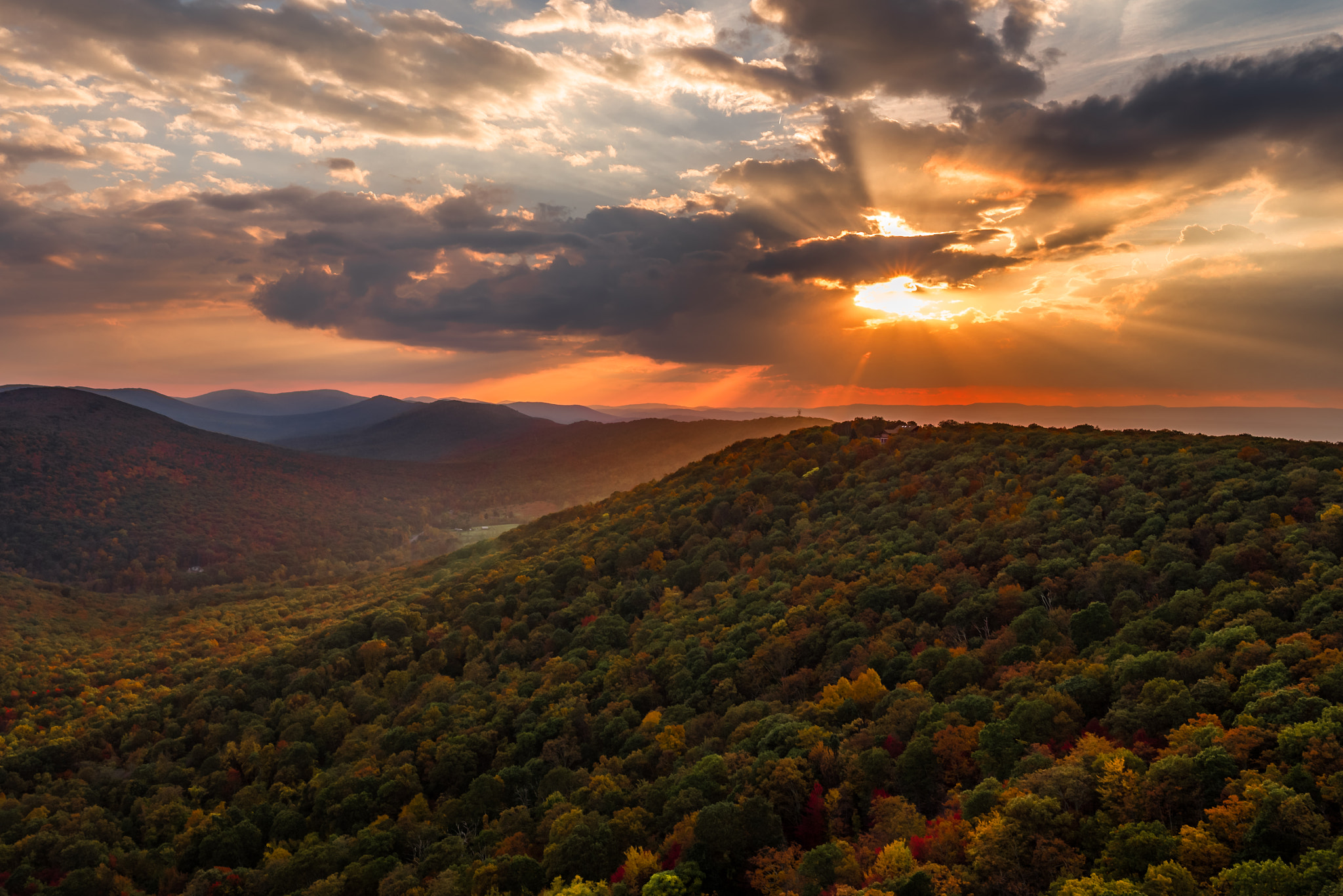 DJI FC550 sample photo. Bfe photography
