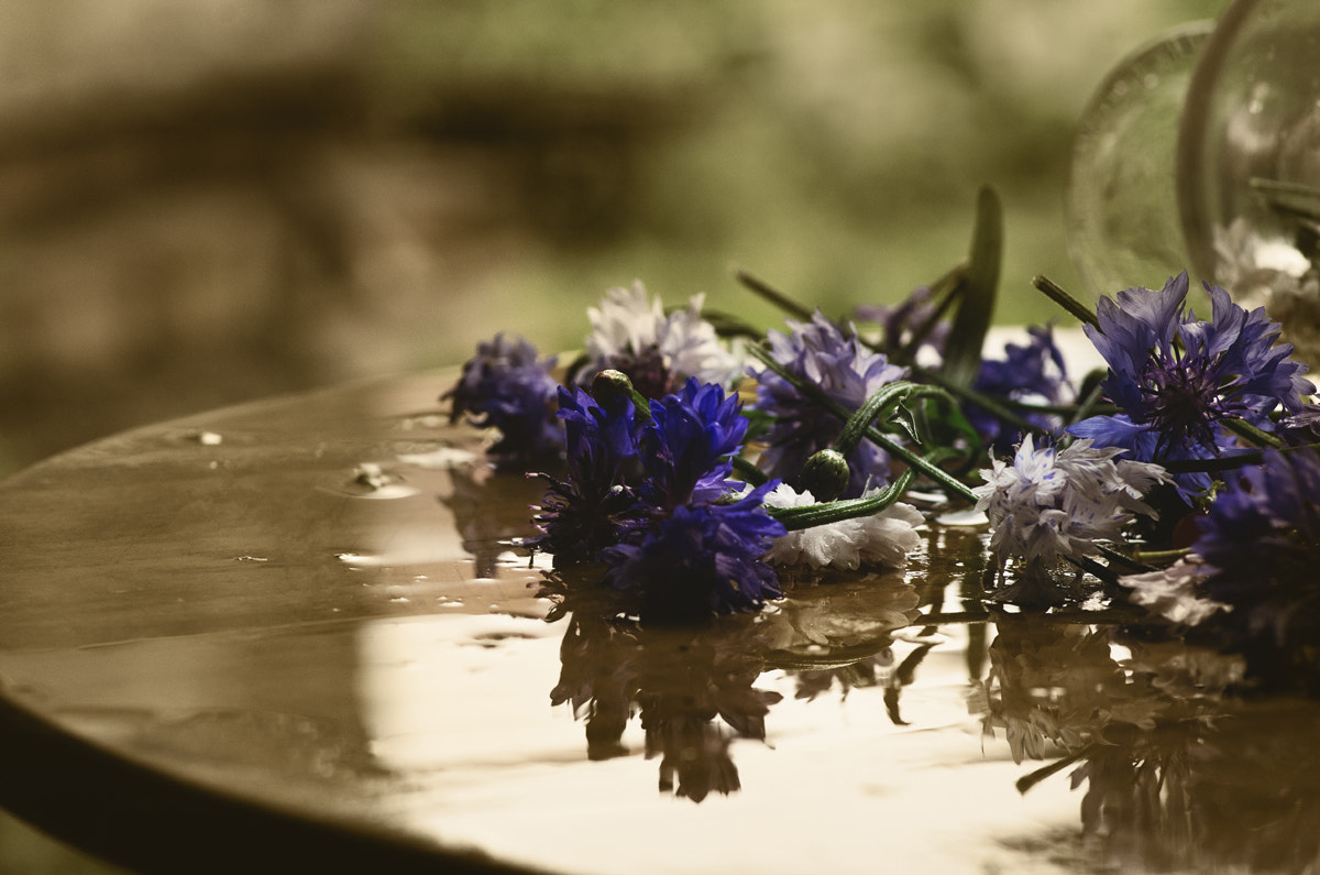 Pentax K-5 sample photo. About the summer rain and cornflowers photography