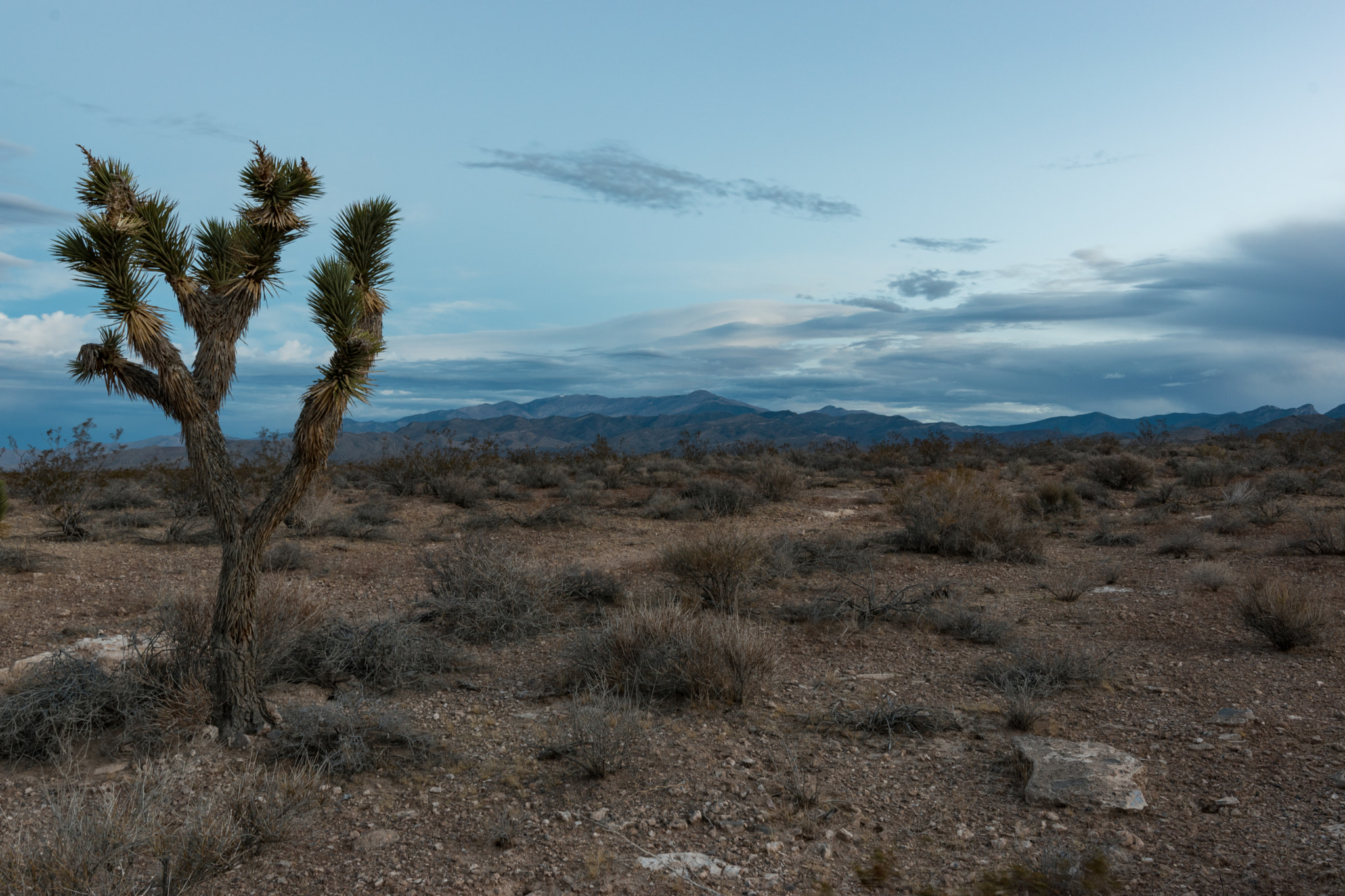 Nikon D5500 + Tokina AT-X 11-20 F2.8 PRO DX (AF 11-20mm f/2.8) sample photo. Desert landscape in nevada photography