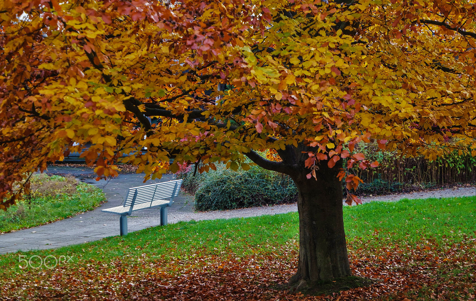 Samsung NX 16-50mm F3.5-5.6 Power Zoom ED OIS sample photo. Herbst / autumn.... photography