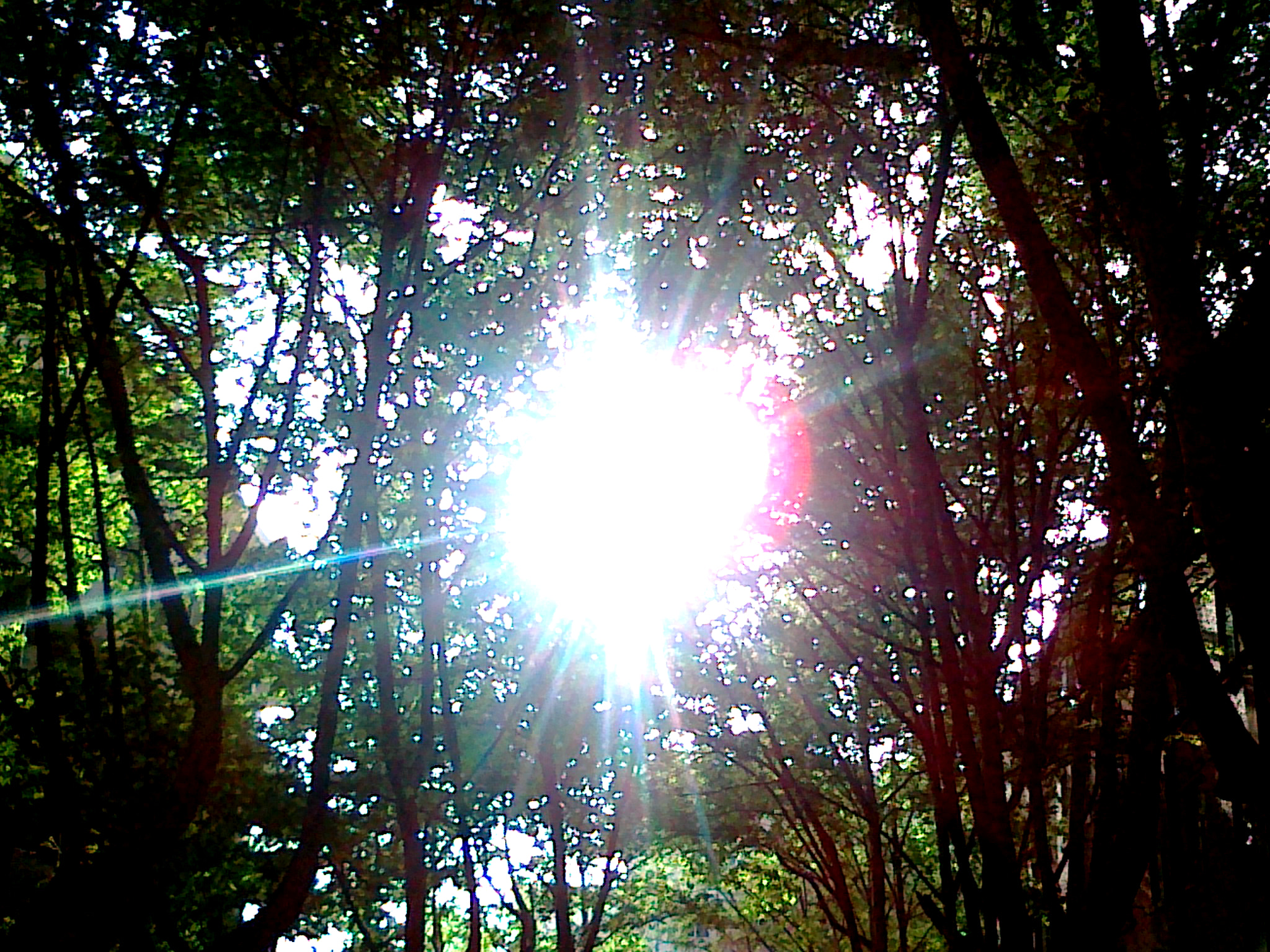 Nokia C5-00 sample photo. 2012.4.26 photography