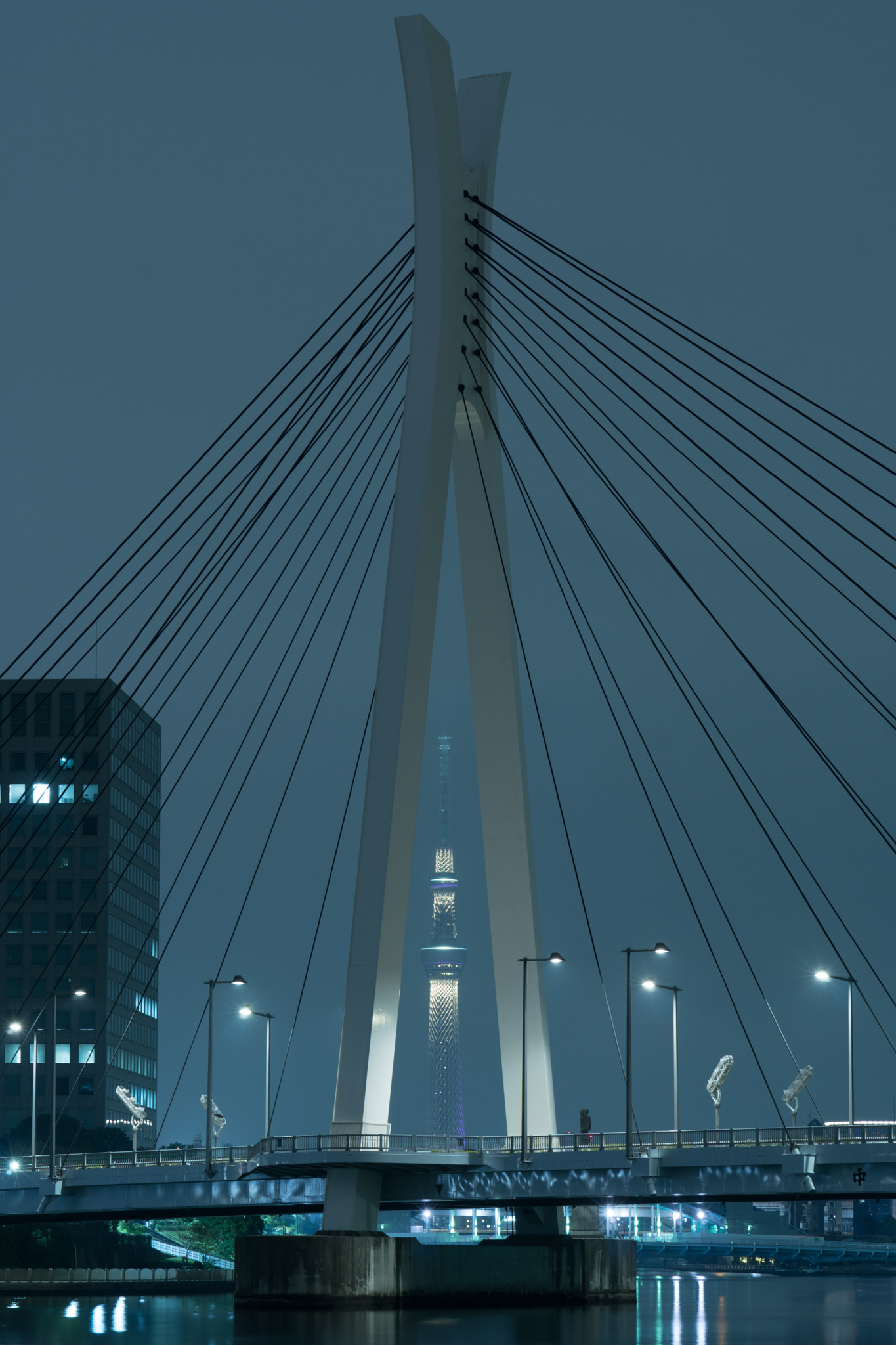 Sony a6300 + Sony FE 70-200mm F4 G OSS sample photo. In the bridge photography