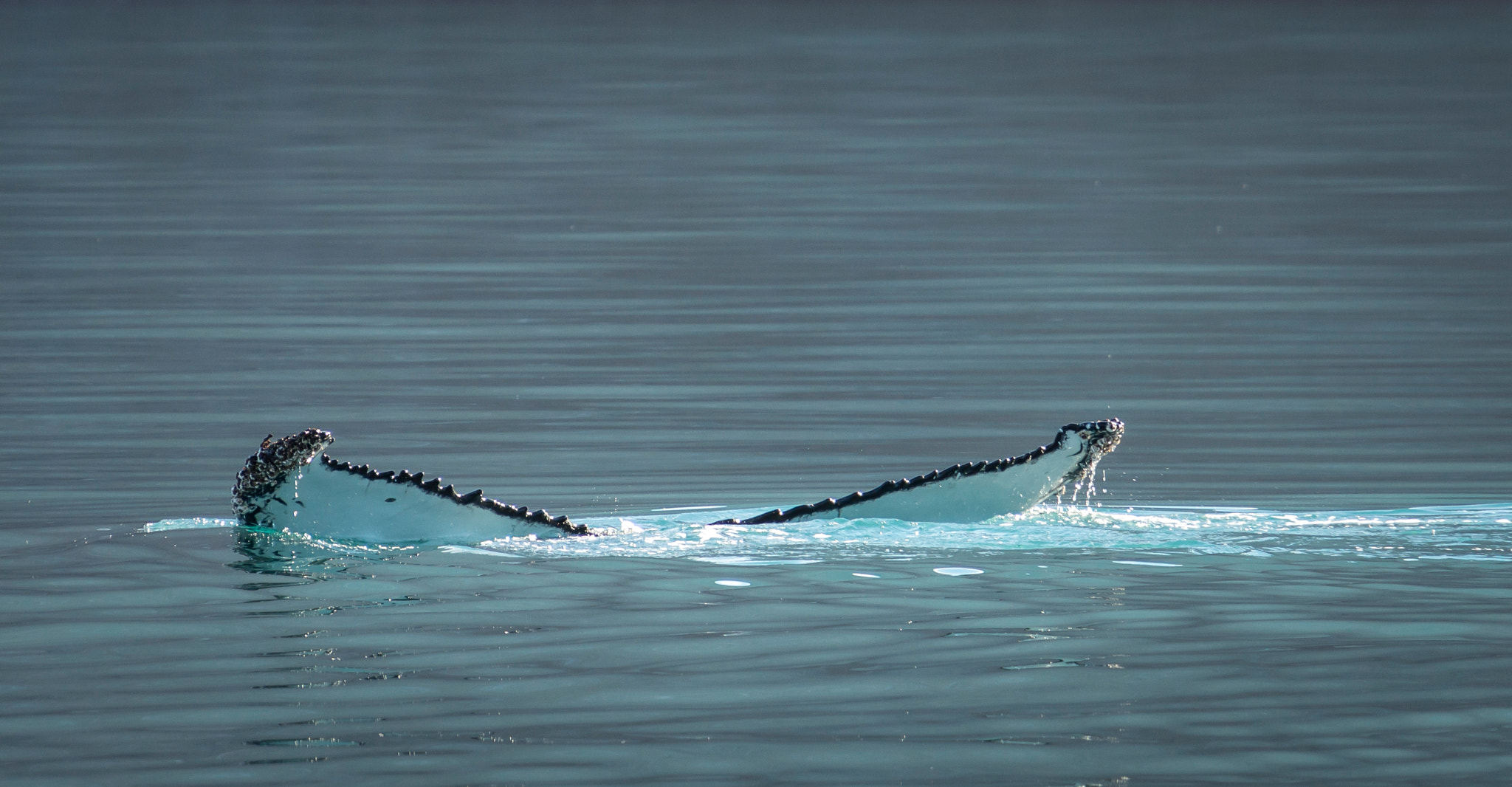 Sony E 18-200mm F3.5-6.3 OSS sample photo. Greenland - nature photography