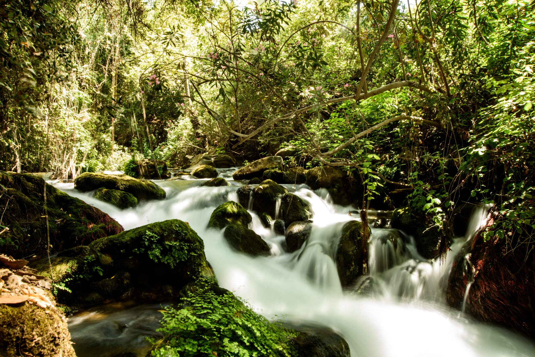 Nikon AF Nikkor 24-85mm F2.8-4D IF sample photo. Flow photography