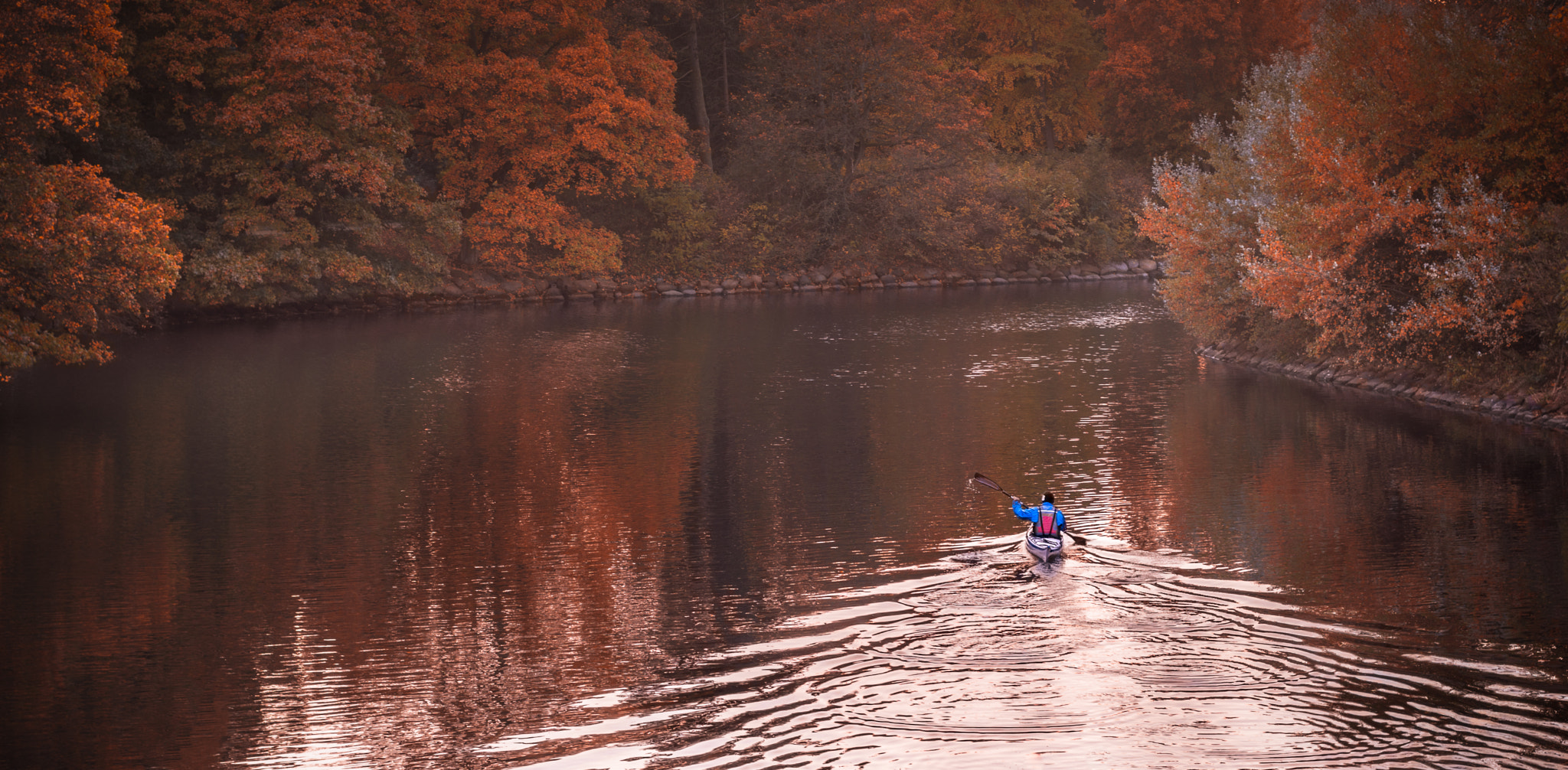 Nikon D7200 + Nikon AF Nikkor 50mm F1.4D sample photo. Autumn in kungsparken photography