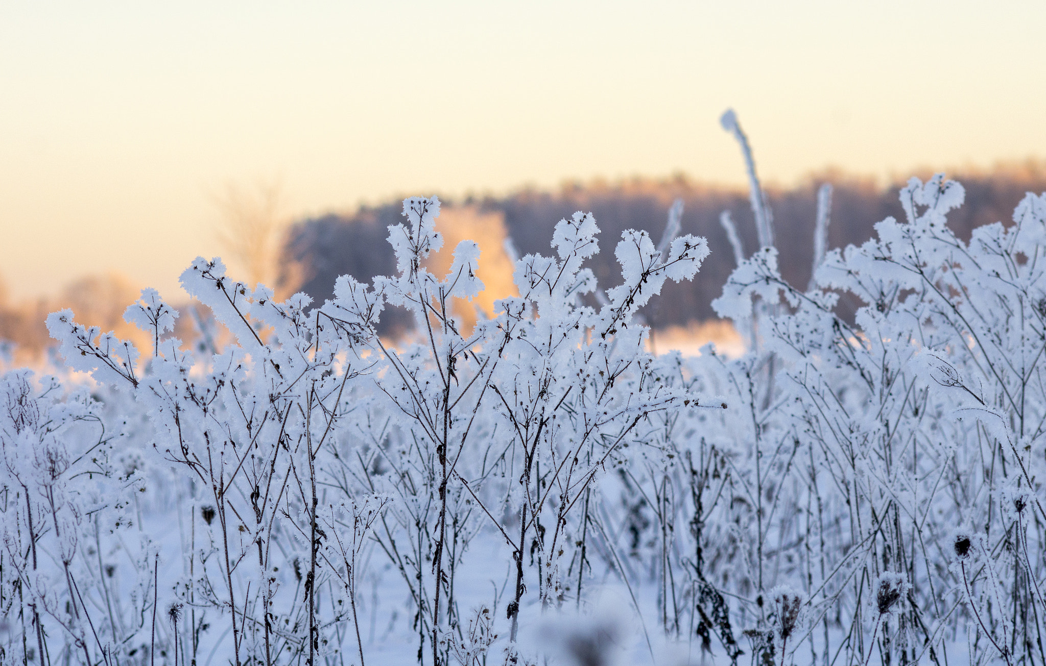 Pentax K-5 sample photo. Cold photography