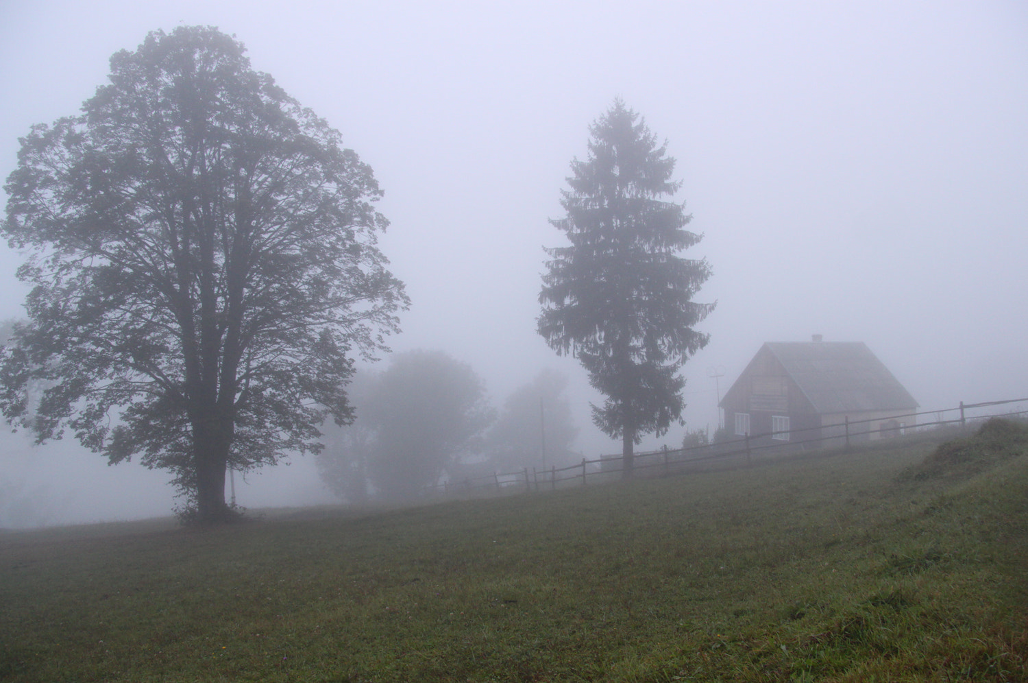 Canon EF-S 17-85mm F4-5.6 IS USM sample photo. Misty morning photography