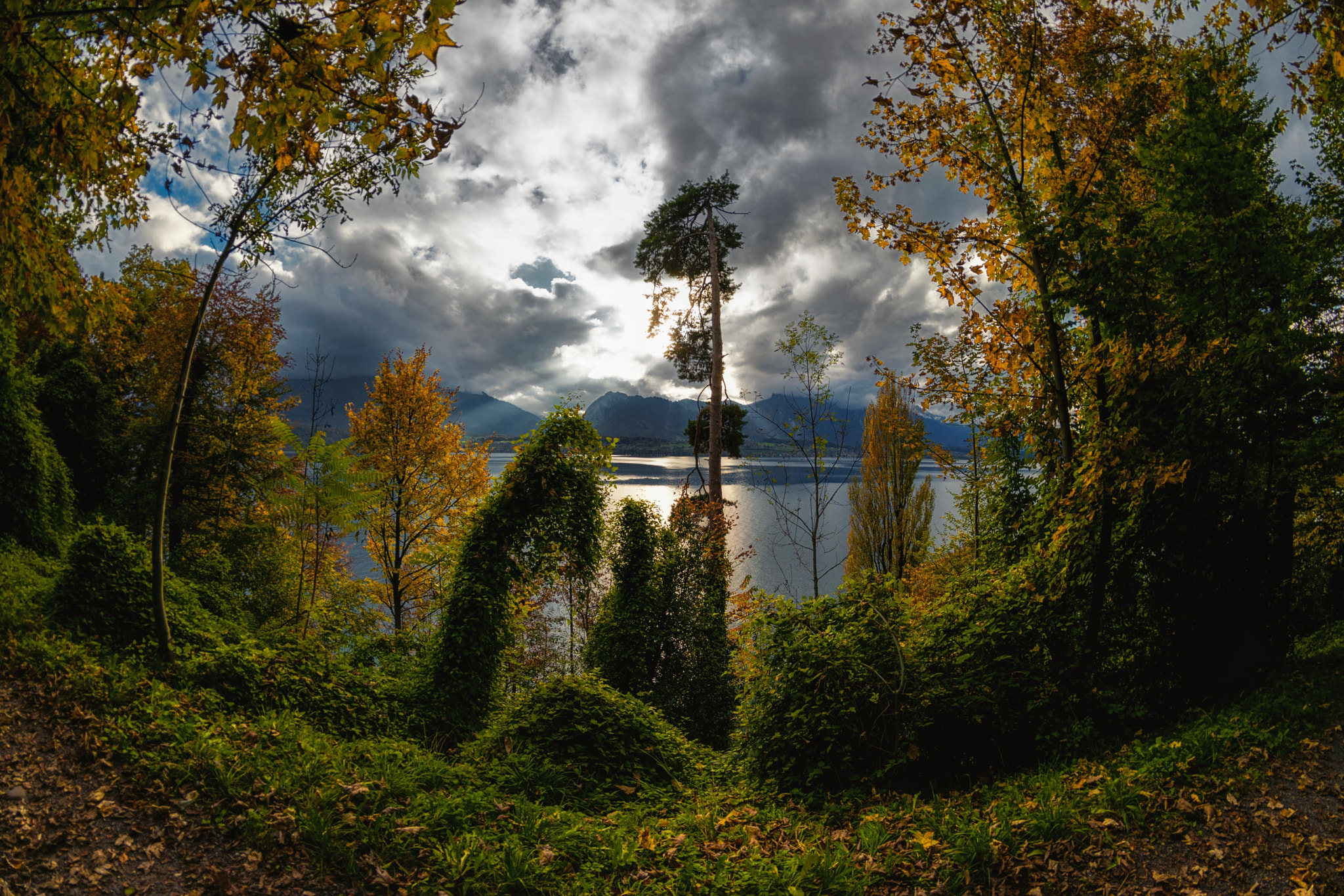 Nikon D5300 + Samyang 8mm F3.5 Aspherical IF MC Fisheye sample photo. Autumn photography