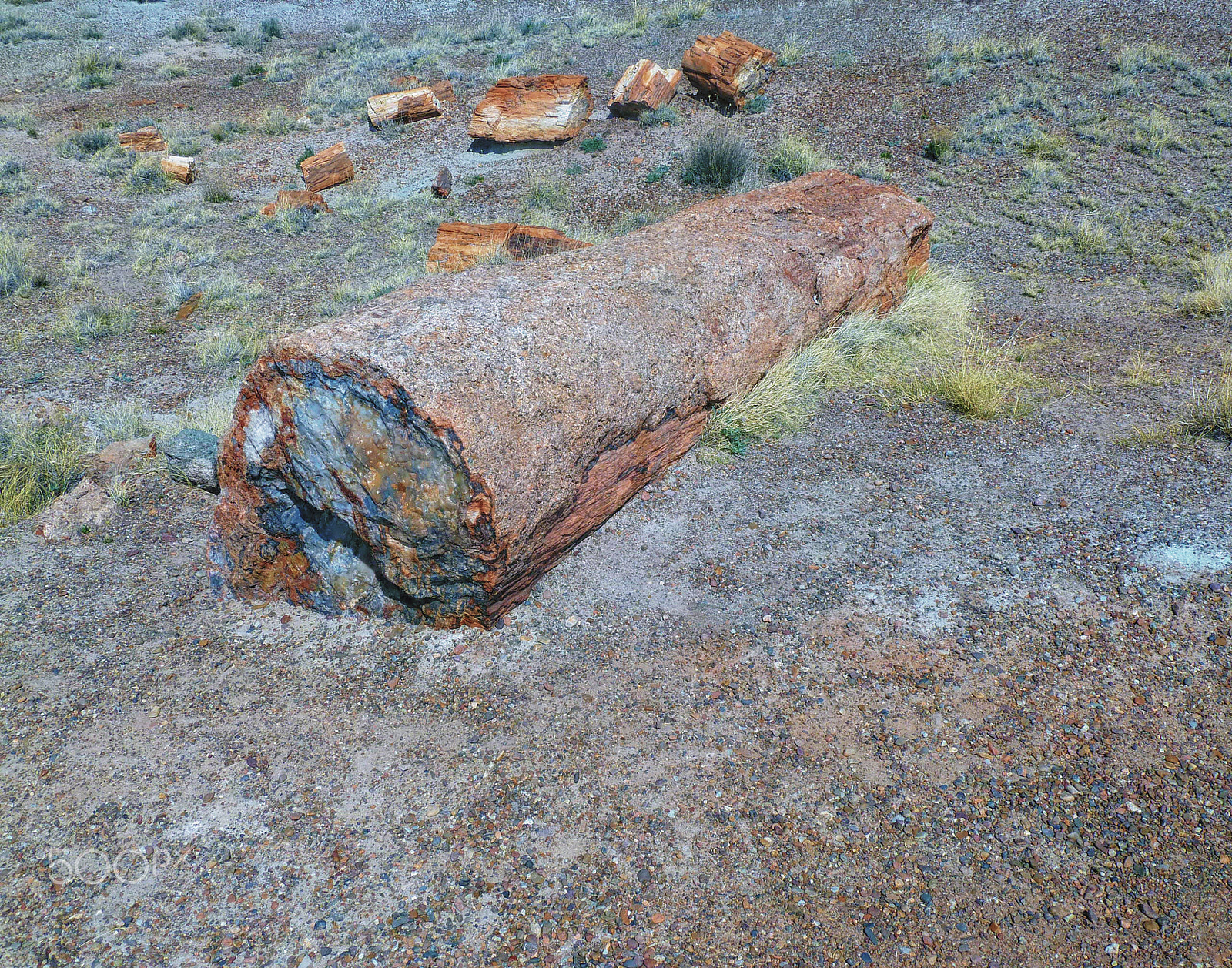 Panasonic Lumix DMC-ZS7 (Lumix DMC-TZ10) sample photo. Petrified forest national park photography