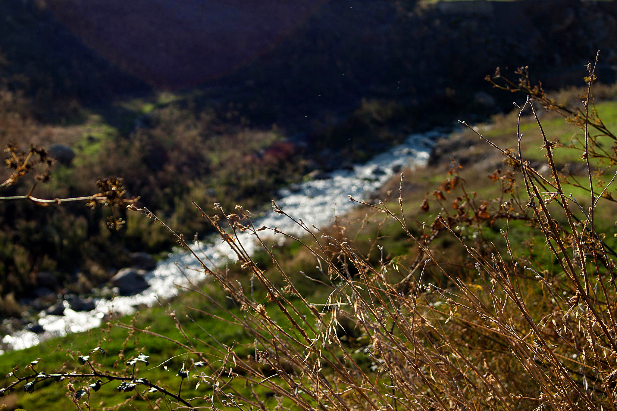 Canon EF 35-80mm f/4-5.6 sample photo. Hidden nature photography