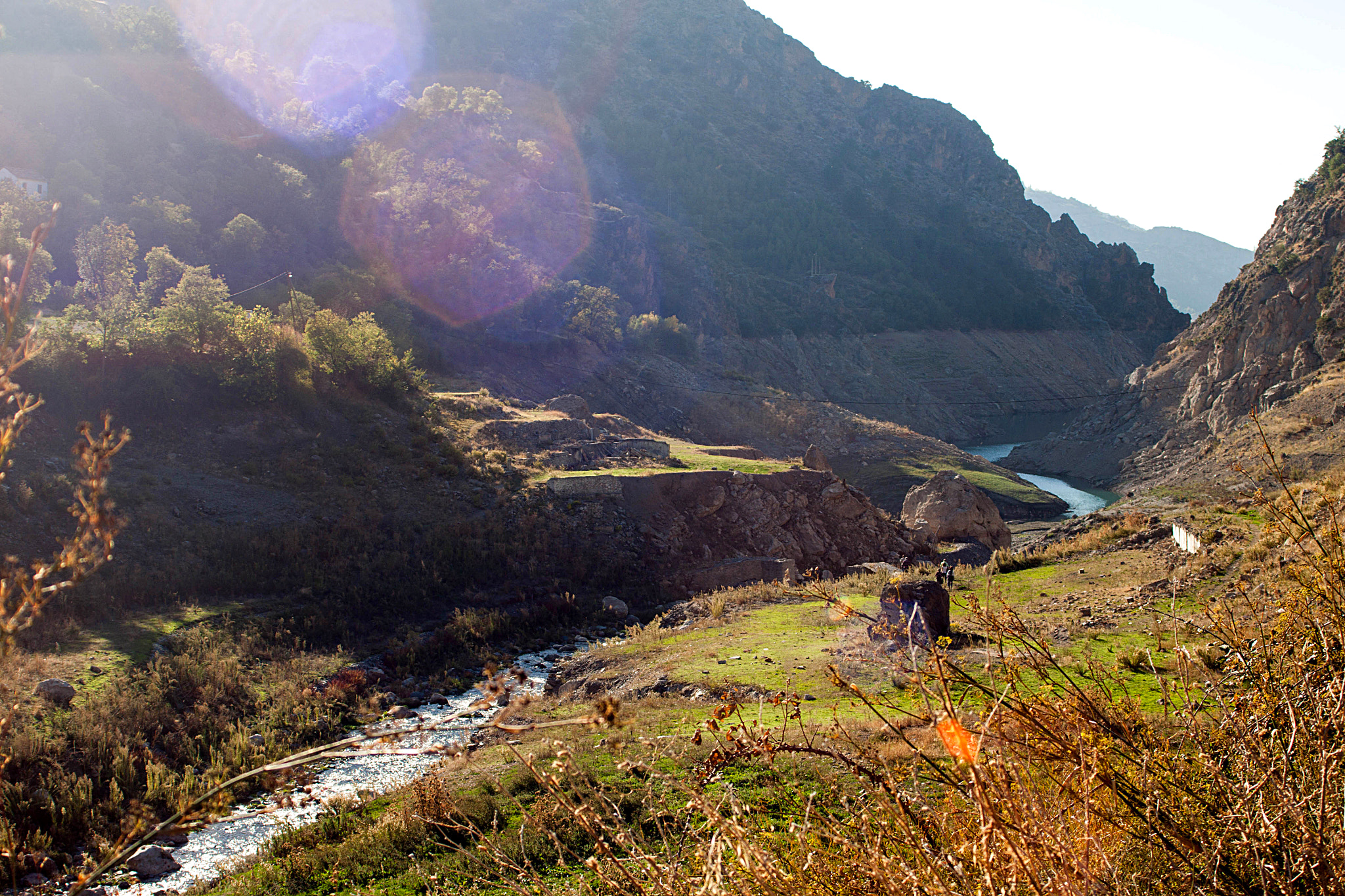 Canon EF 35-80mm f/4-5.6 sample photo. Wild nature photography