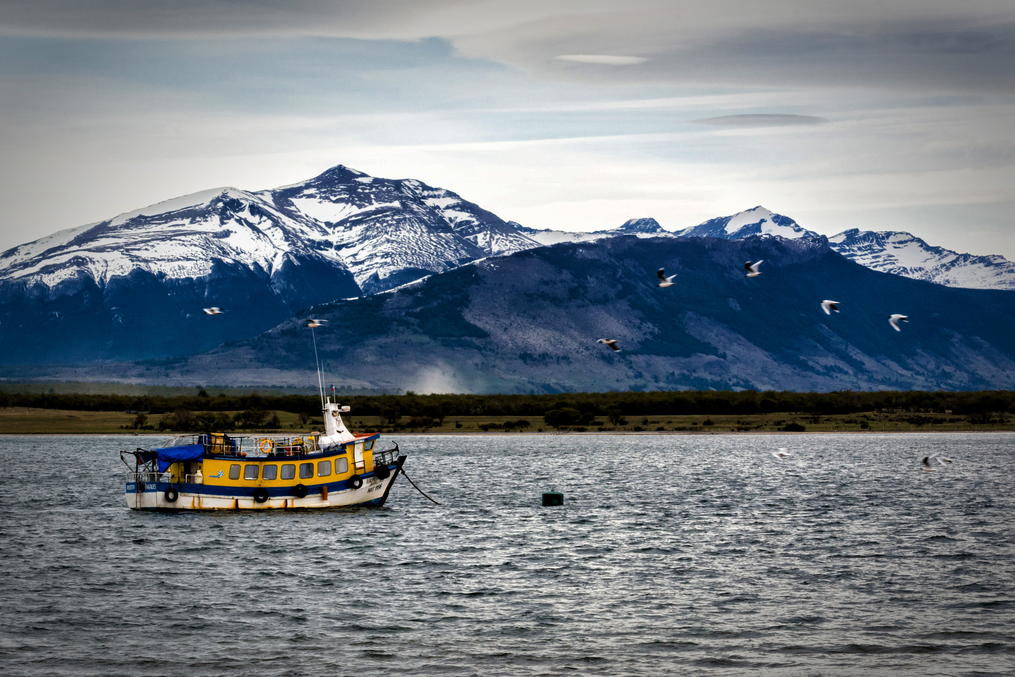 Nikon AF-S Nikkor 70-200mm F4G ED VR sample photo. Follow the leader... photography