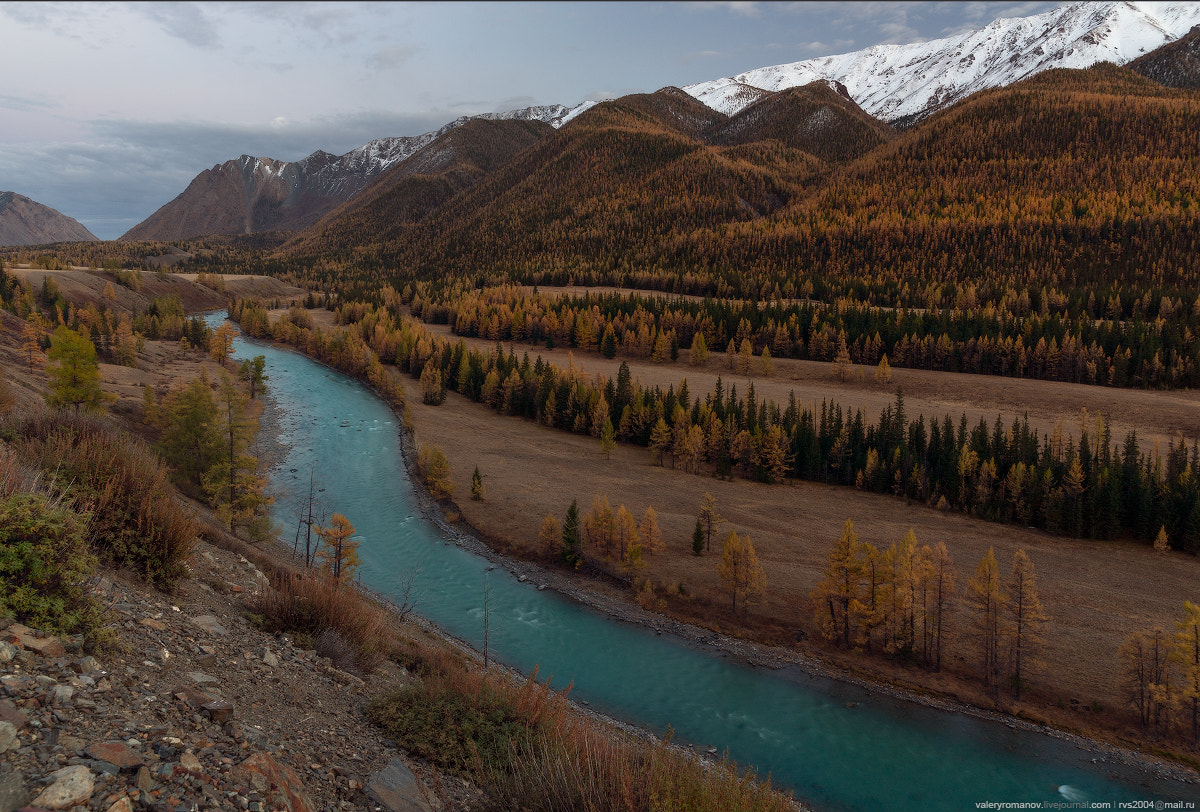 Sony Alpha a99 sample photo. Turquoise autumn photography