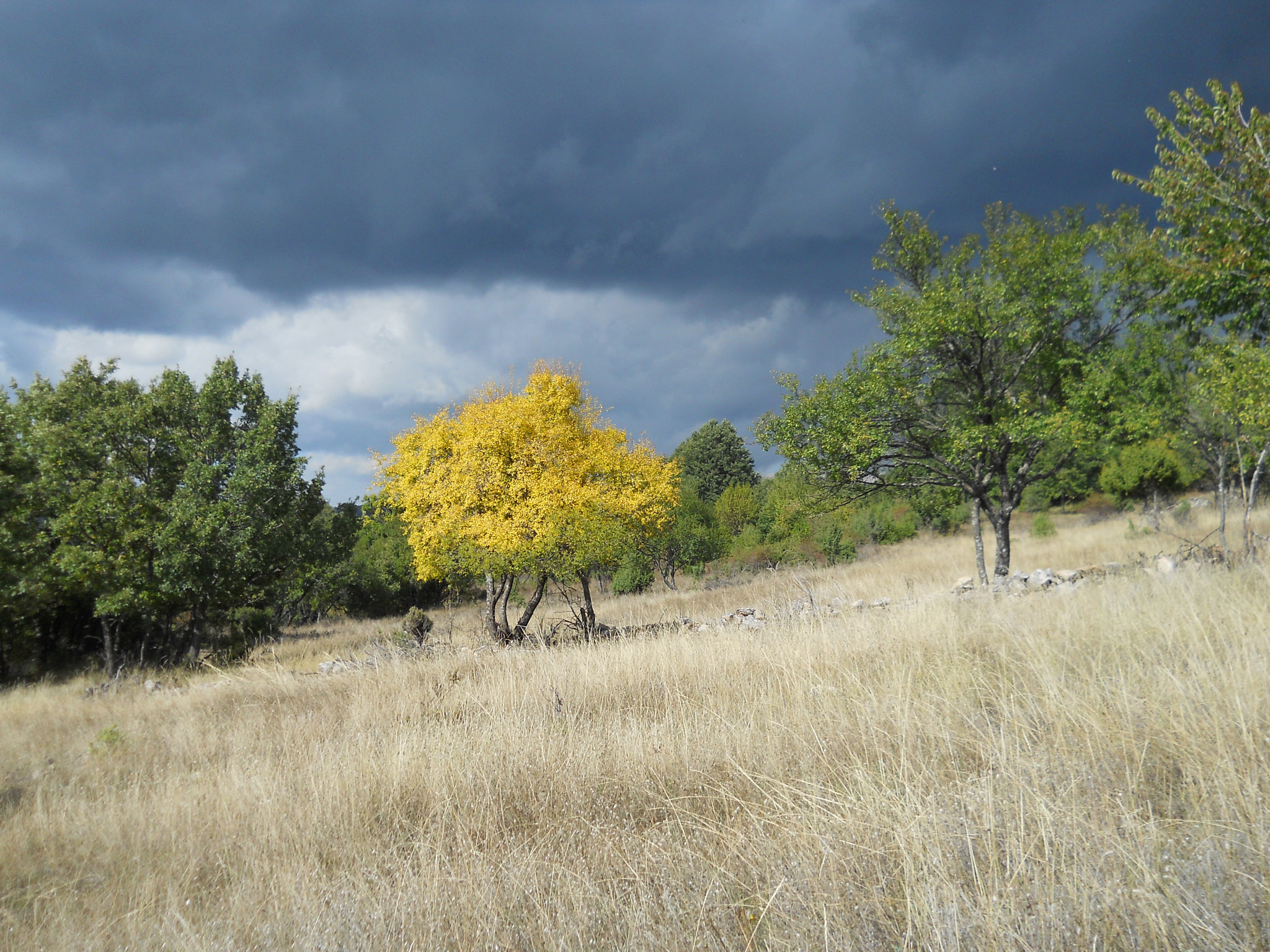 Nikon Coolpix L22 sample photo. Before the rain photography