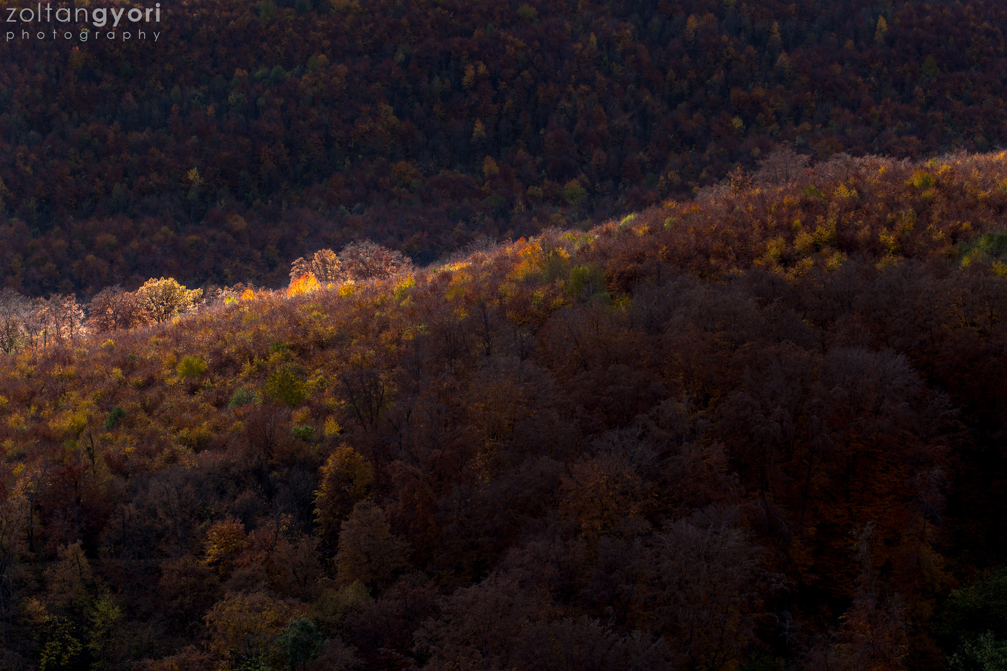 Canon EOS 6D + Sigma 100-300mm f/4 sample photo. Ray of light photography