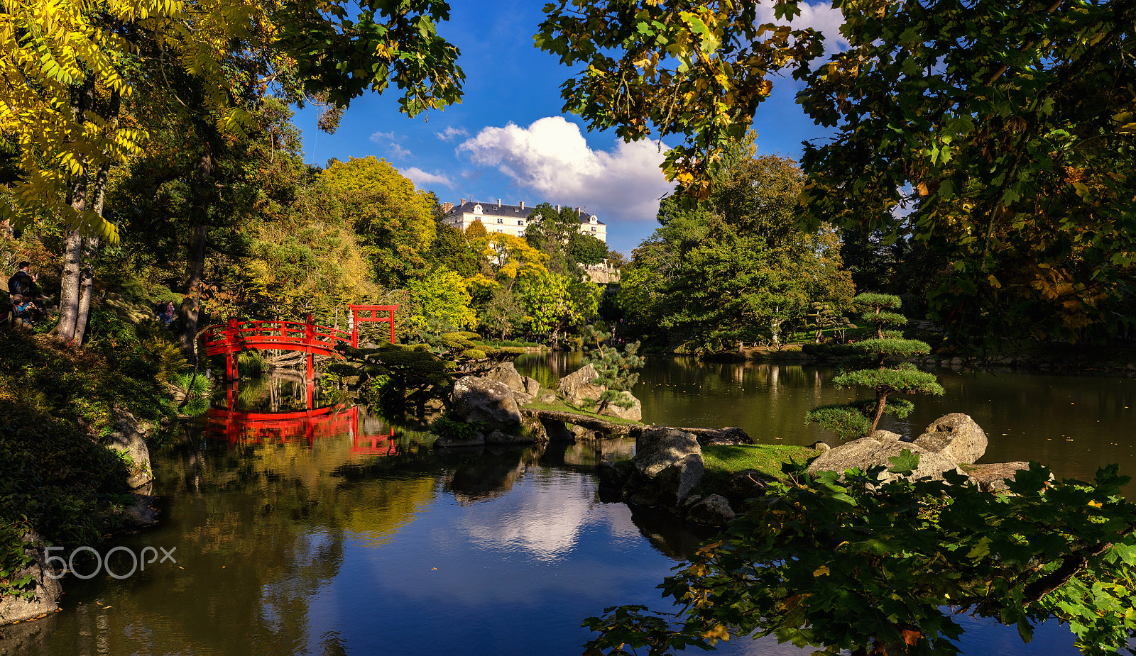 Pentax smc DA 35mm F2.8 Macro Limited sample photo. Oriental park photography