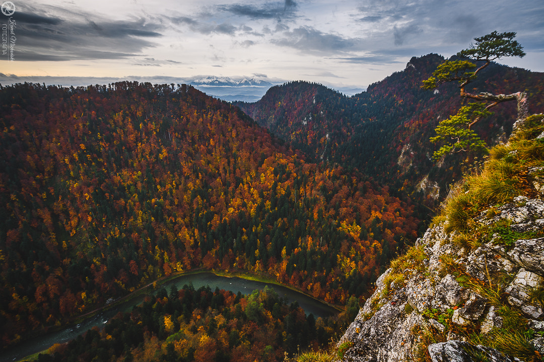 Samyang 14mm F2.8 ED AS IF UMC sample photo. Autumnal climate from sokolica mountain. photography