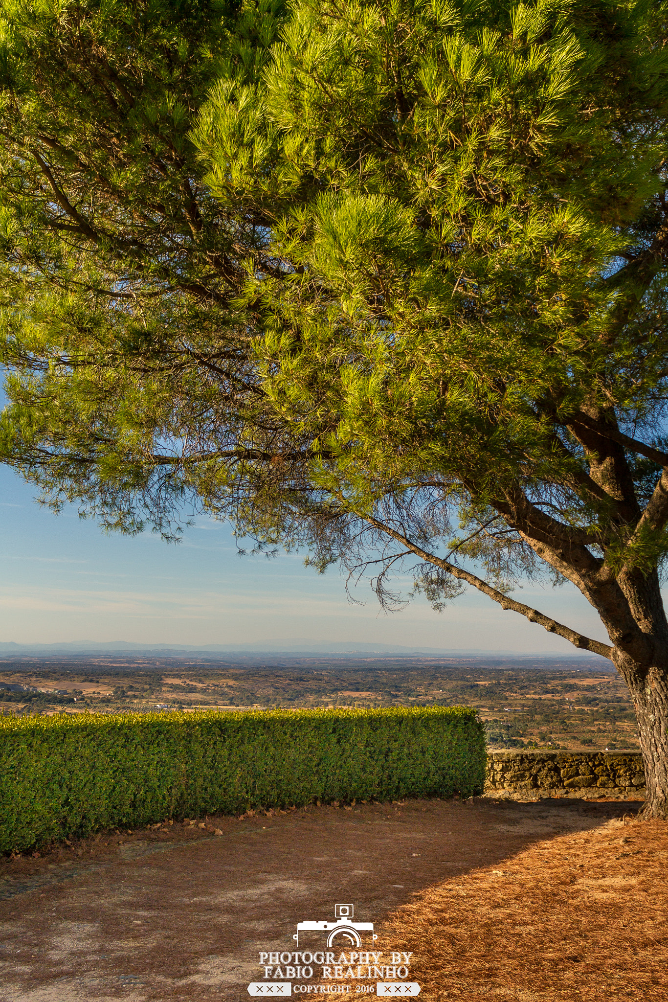 Canon EF-S 18-55mm F3.5-5.6 III sample photo. Castelo de vide photography