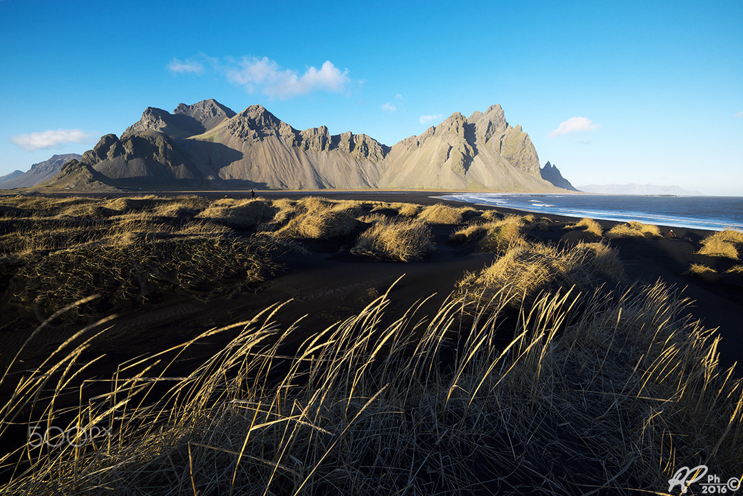 14mm F/2.8-1.4 D sample photo. Vestrahorn photography