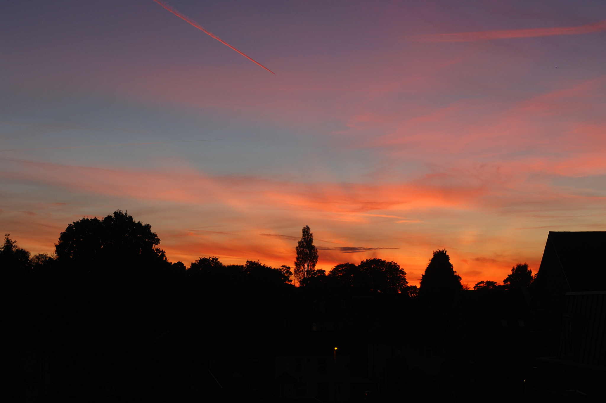 Nikon D2X sample photo