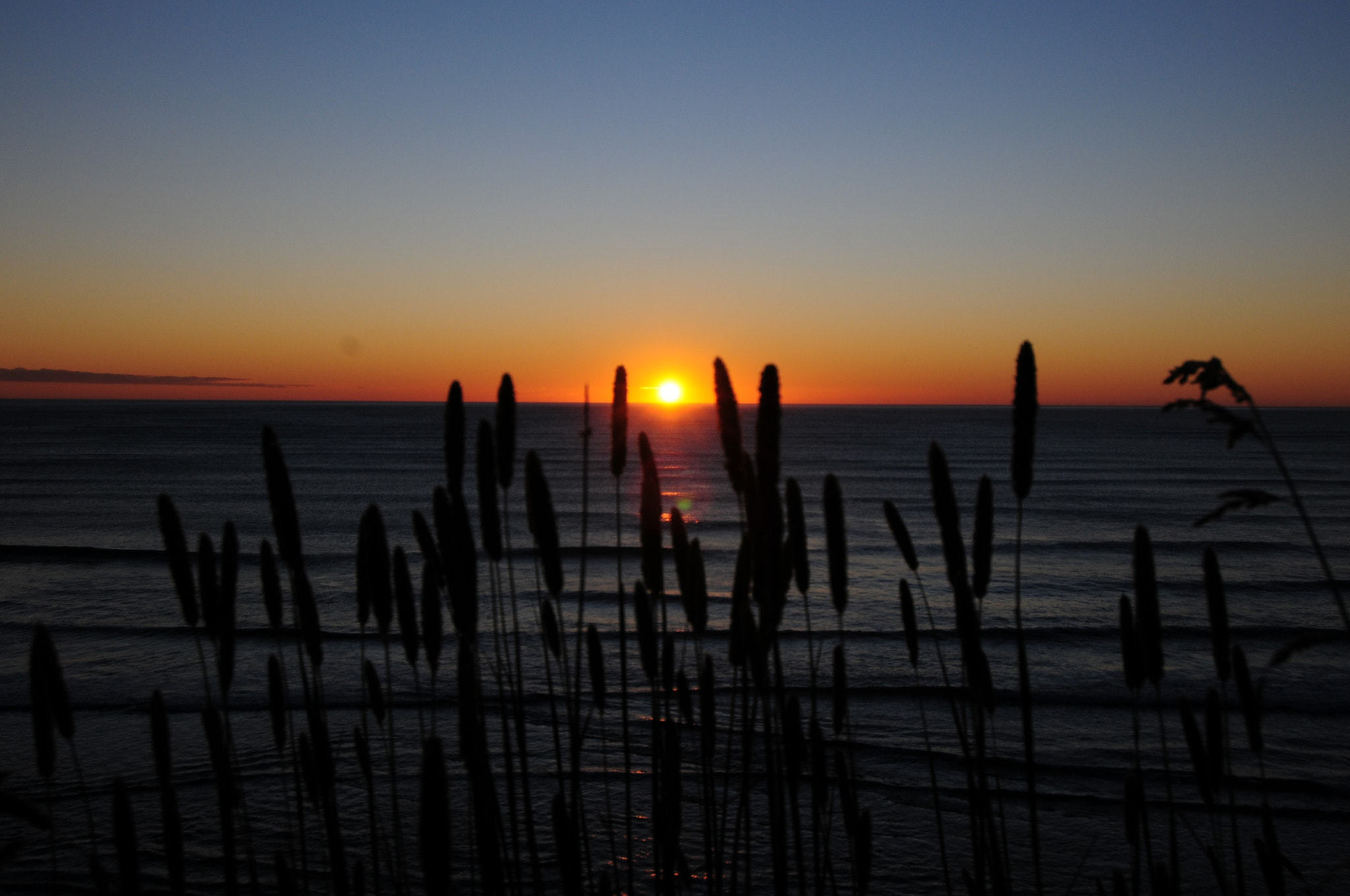 Nikon D300S sample photo. Beach photography
