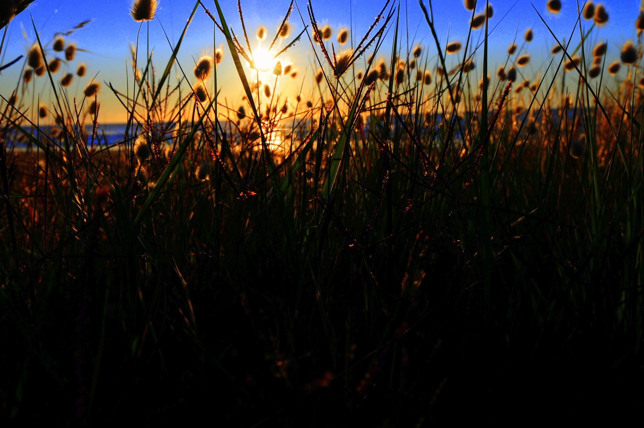 Nikon D300S sample photo. Beach photography