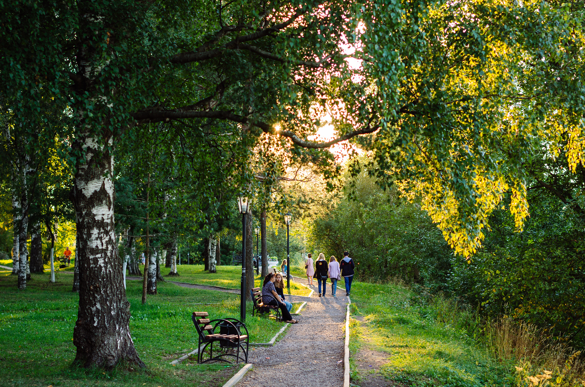 Sigma 50mm F1.4 EX DG HSM sample photo. Кремлёвский парк photography