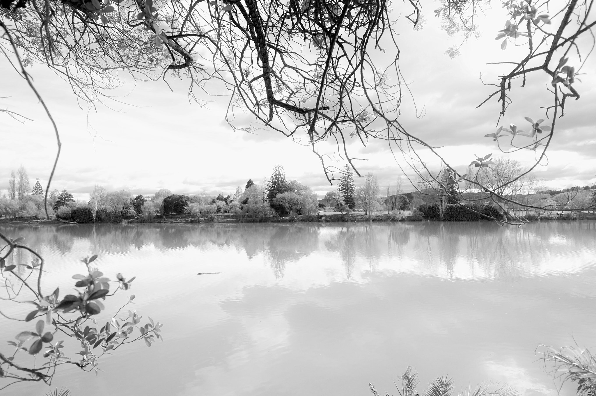 Nikon D300S sample photo. Lake side photography