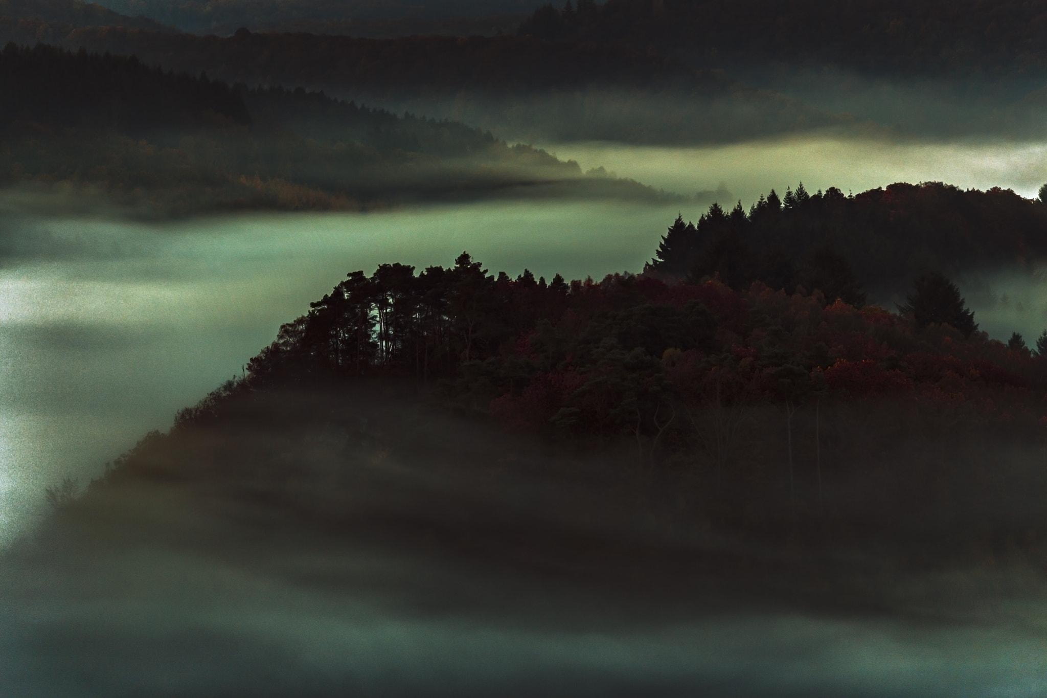 Canon EOS 6D + Canon EF 200mm F2.8L II USM sample photo. Human poison covers the earth photography