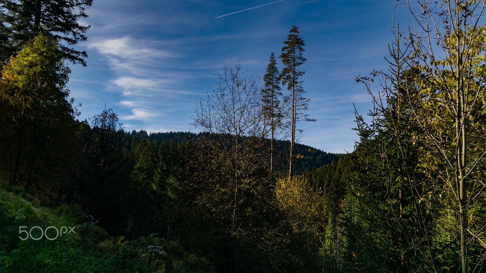 Sigma 18-250mm F3.5-6.3 DC Macro OS HSM sample photo. Sankenbach photography