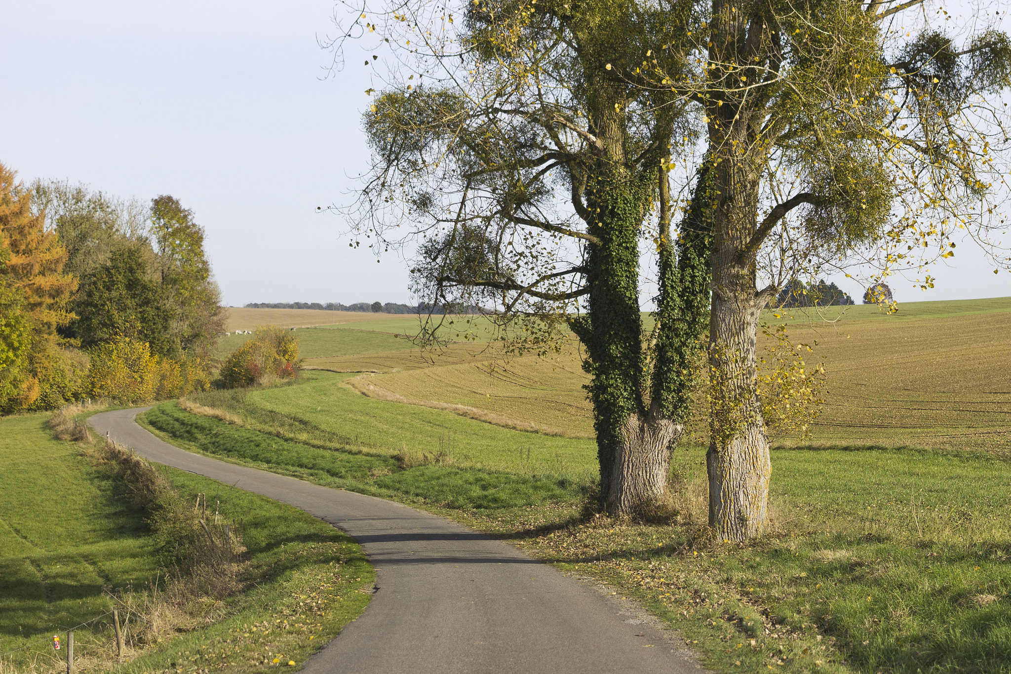 Canon EOS 1200D (EOS Rebel T5 / EOS Kiss X70 / EOS Hi) + Canon EF 40mm F2.8 STM sample photo. Rolling hills photography