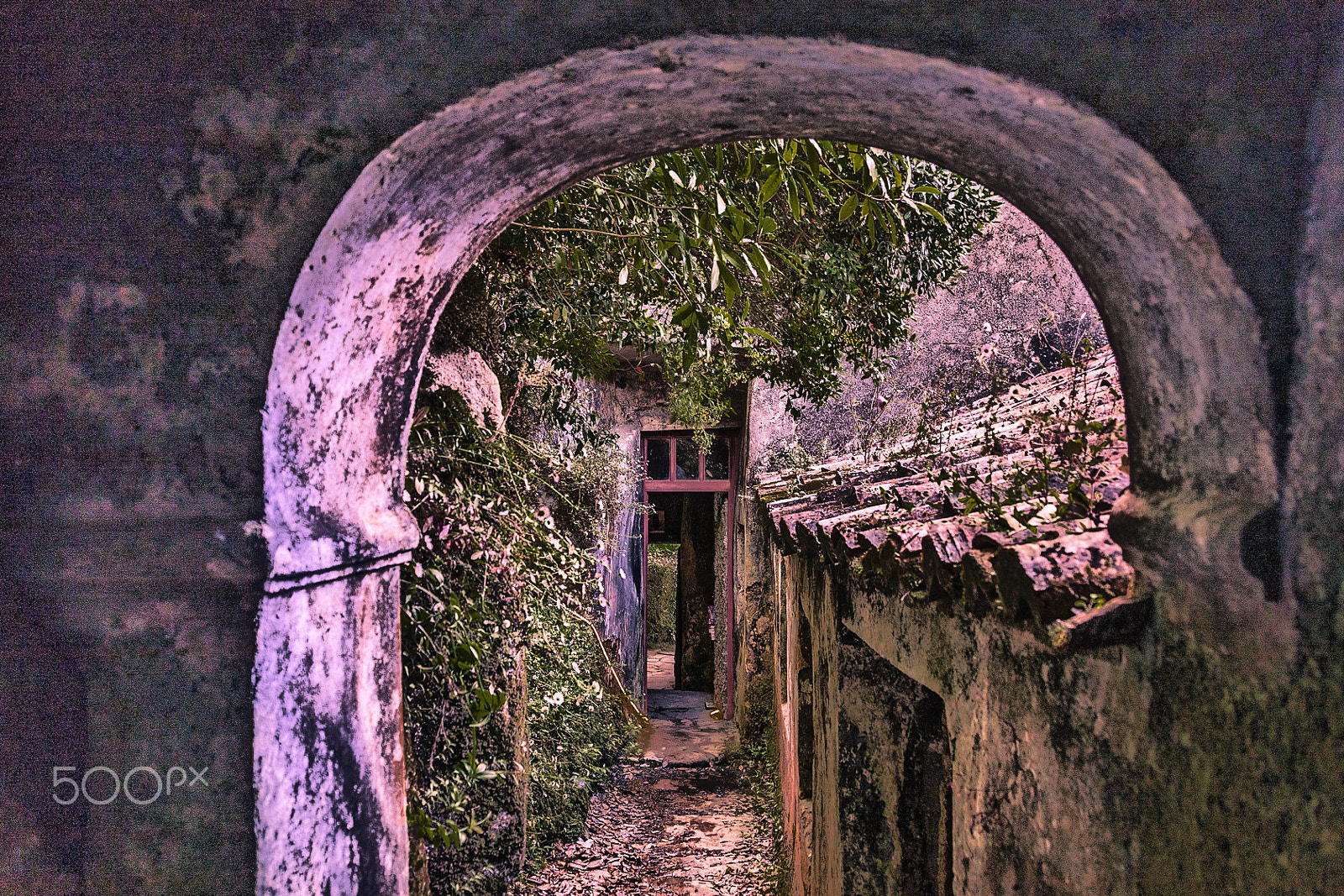 Canon EOS 40D + Canon TS-E 90mm F2.8 Tilt-Shift sample photo. Convento dos capuchos photography