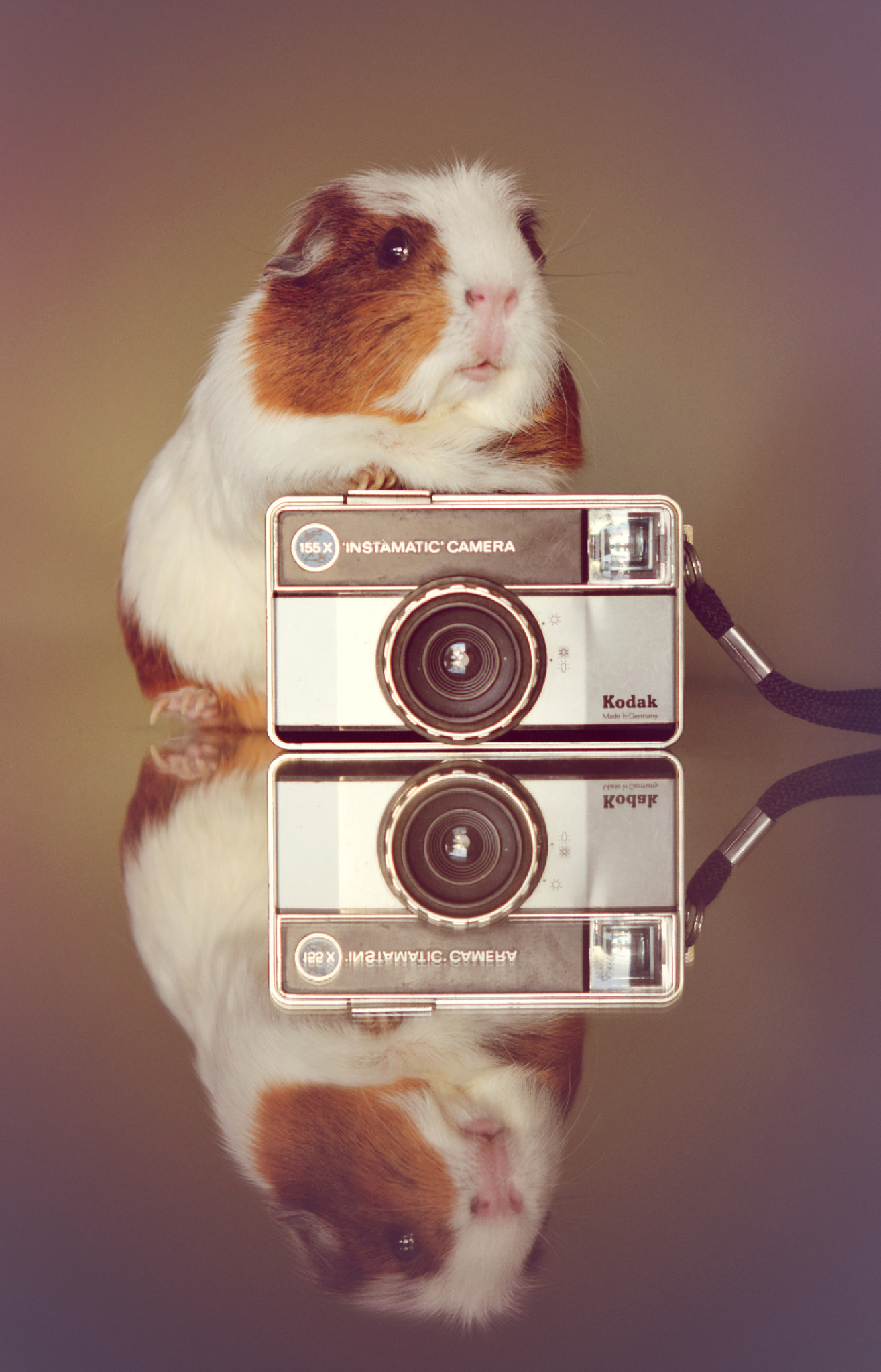 Nikon AF-S Micro-Nikkor 60mm F2.8G ED sample photo. Maya photography