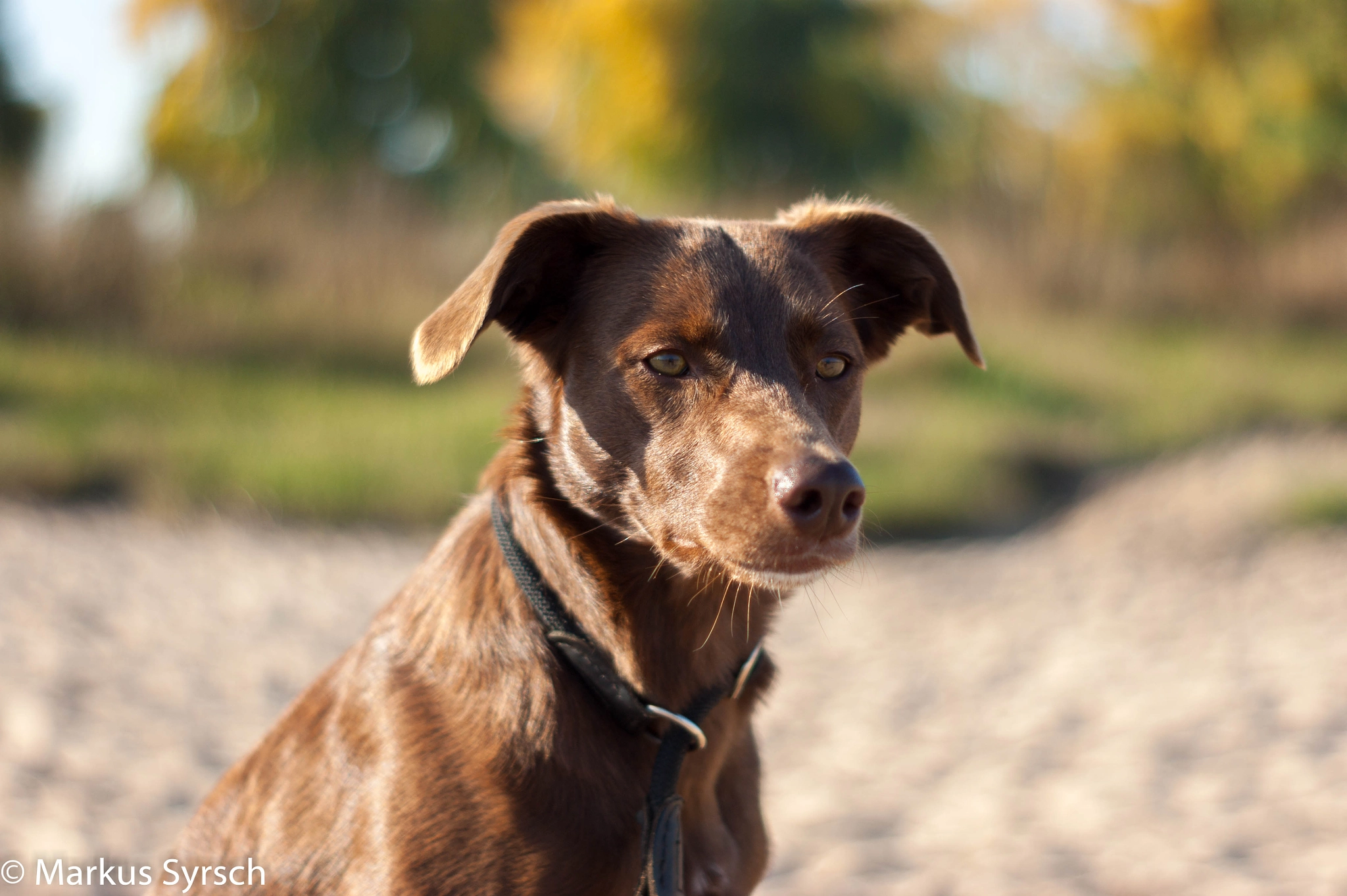 Sony Alpha DSLR-A350 sample photo. Mia portrait an den rheinwiesen photography