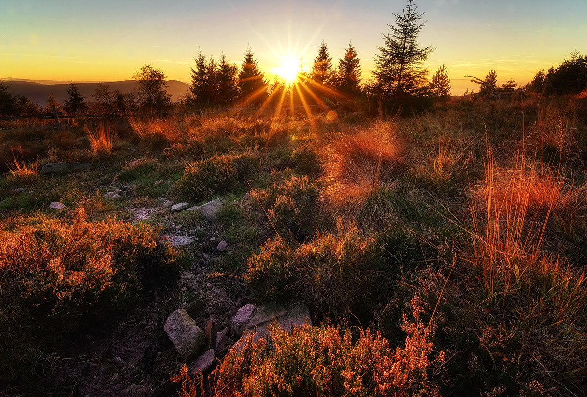20mm F2.8 sample photo. Autumn sunset photography