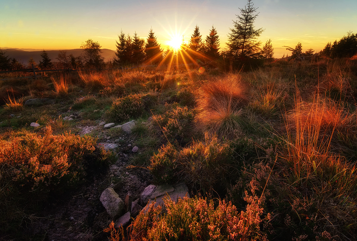 Sony a7R + 20mm F2.8 sample photo. Autumn sunset photography