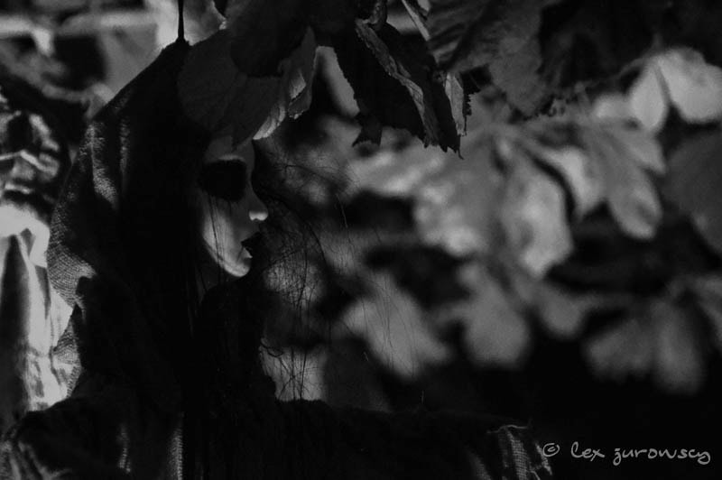 Sigma 28-300mm F3.5-6.3 DG Macro sample photo. The dark garden at alnwick photography